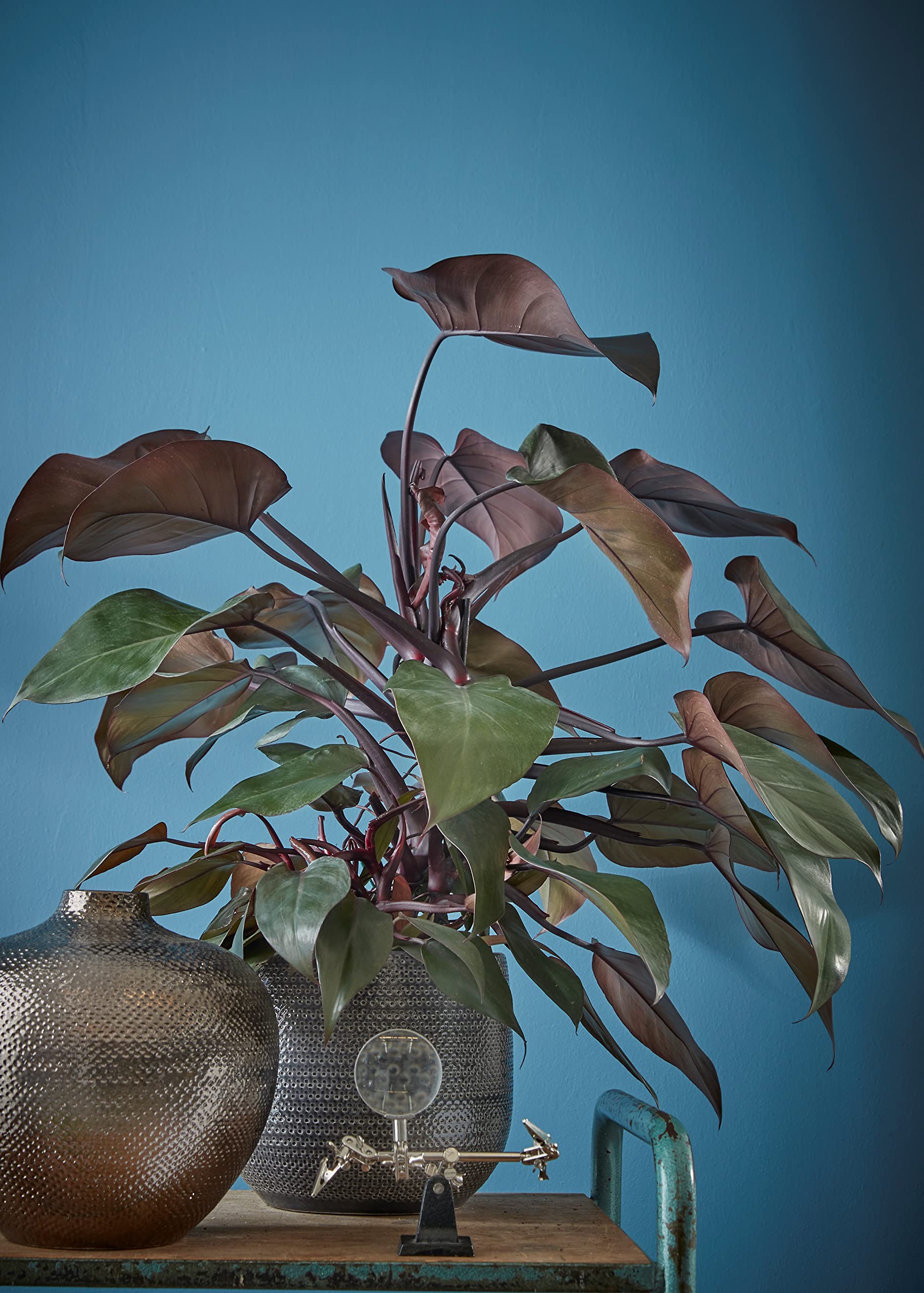 mica-decorations-gabriel-pot-fleurs-c-ramique-bronze-25x29cm image 7
