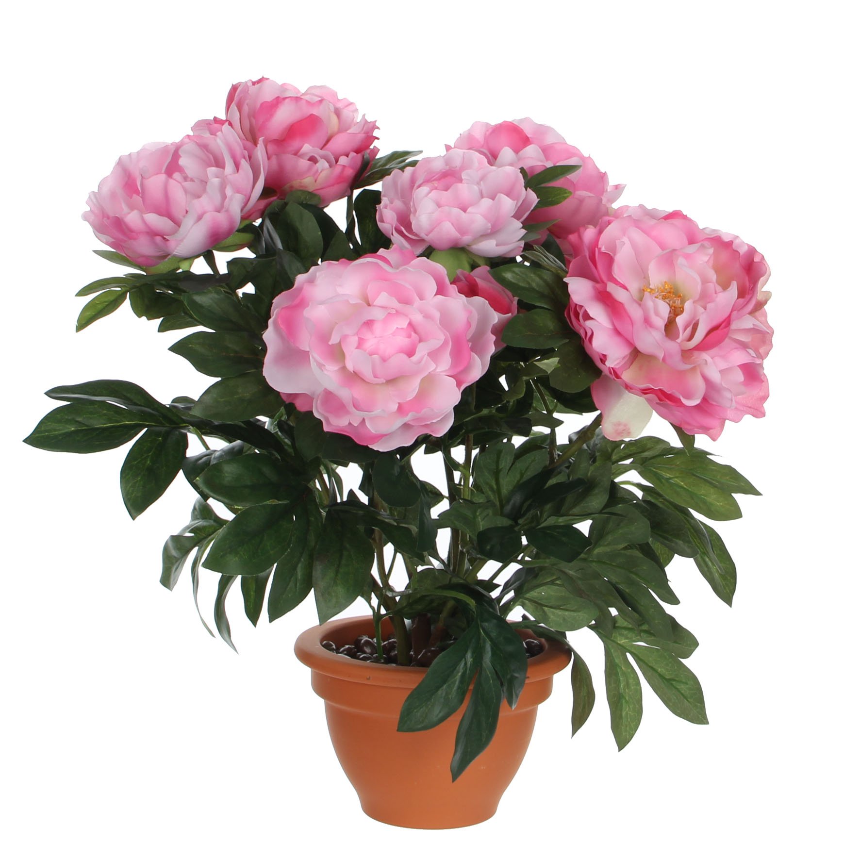 mica-decorations-pivoine-artificielle-saumon-pot-campana-50-cm image 3