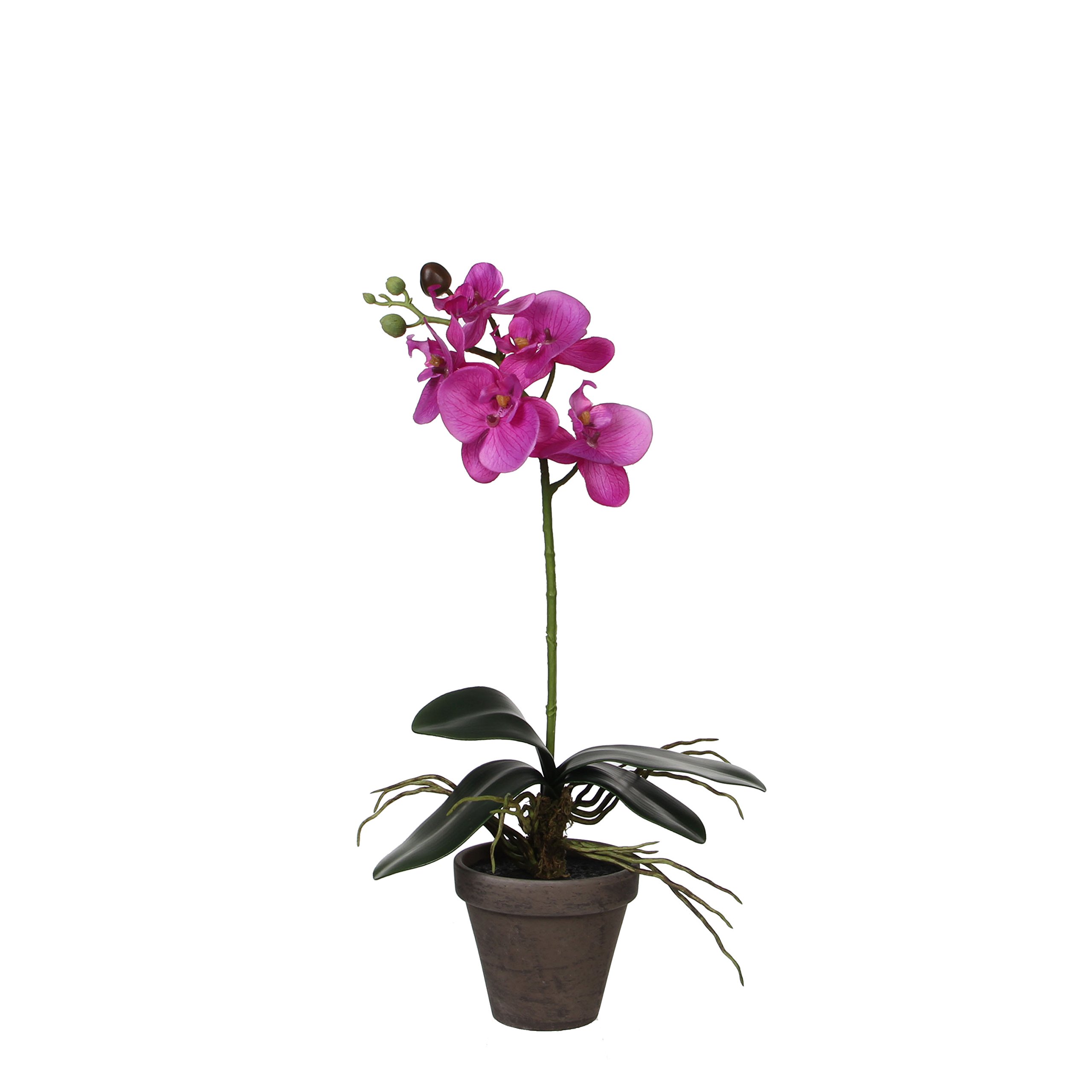 mica-decorations-phalaenopsis-orchid-e-artificielle-cr-me-66-cm image 7