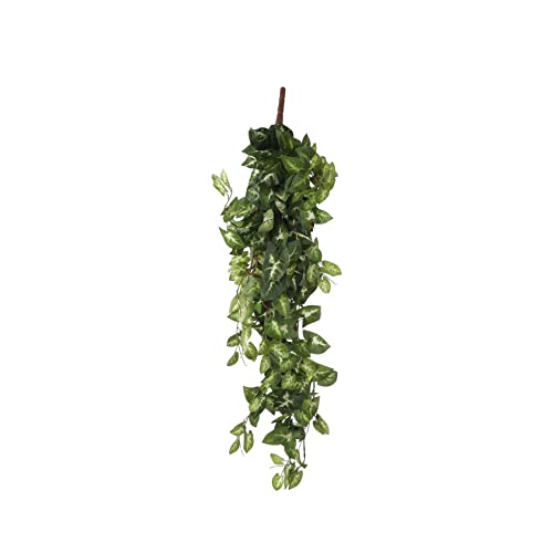 mica-fittonia-plante-artificielle-verte-80cm-suspendue image 5