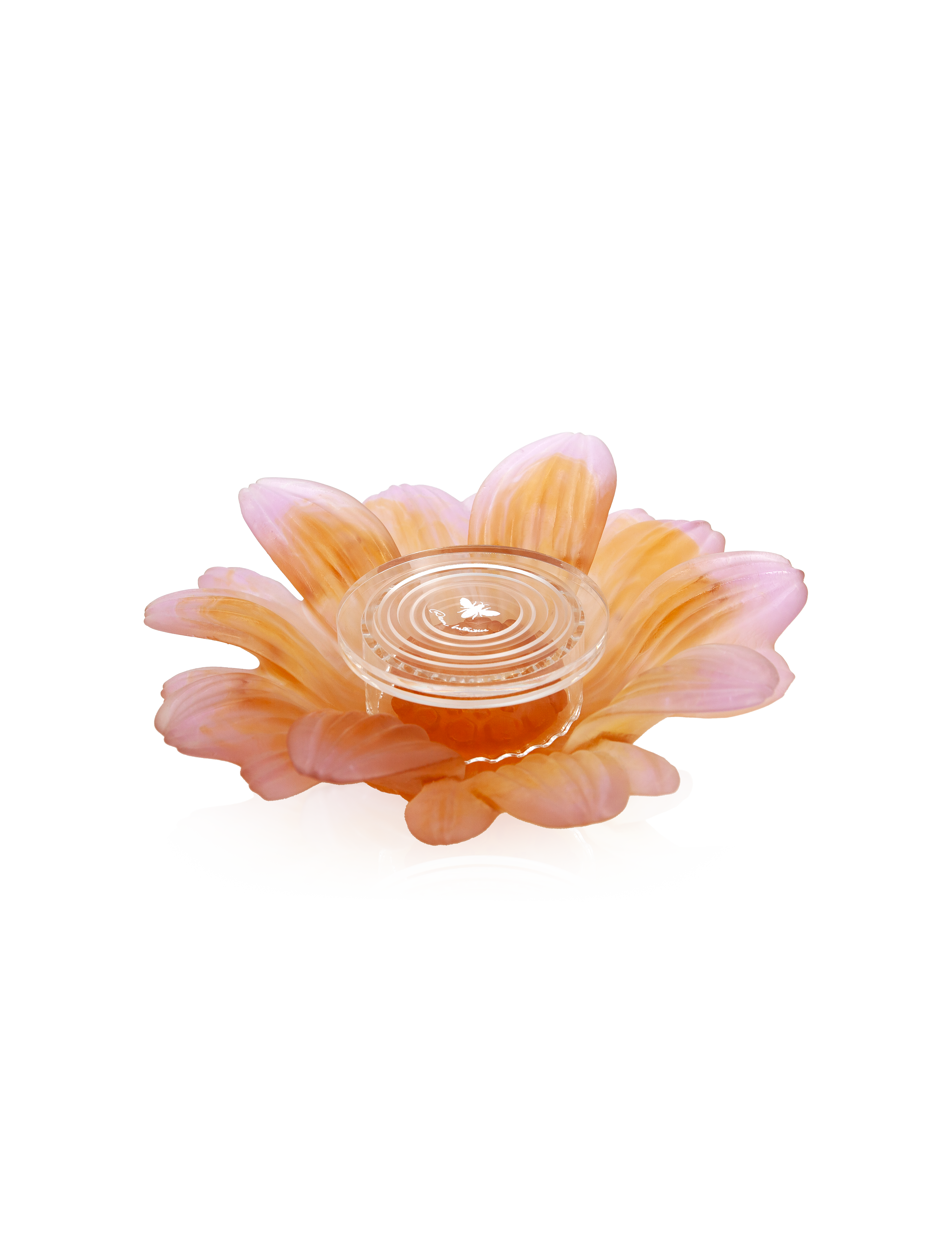 daum-art-de-la-table-or-d-abeille-fleur-pr-sentation-pm-blanche image 5