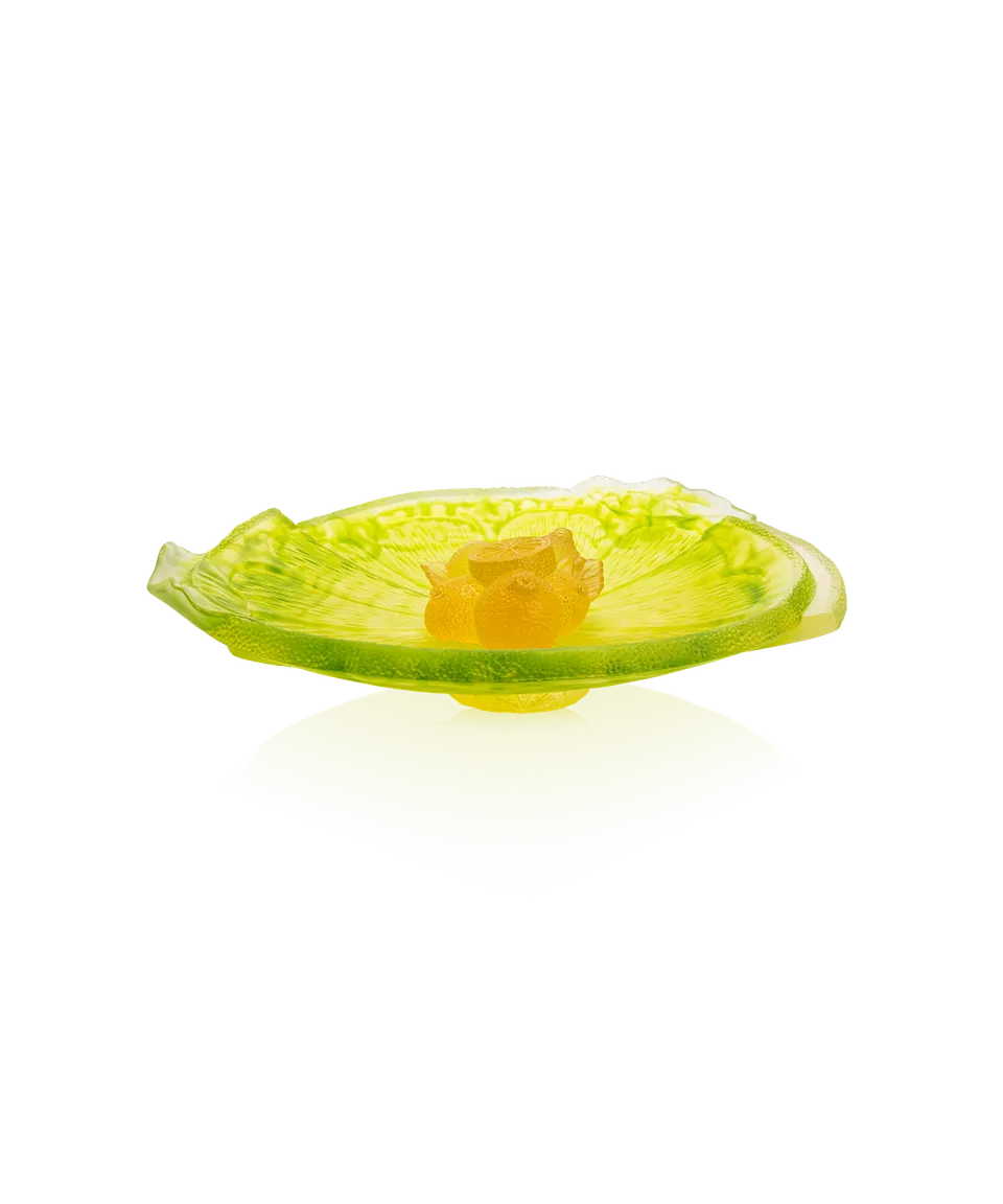 daum-univers-v-g-tal-citrus-coupe-sur-pied-225-ex image 1