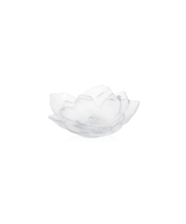 daum-camelia-coupe-petit-mod-le-blanche-cristal image 1