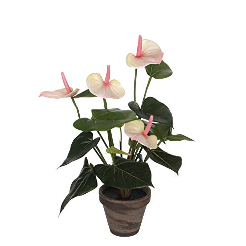 mica-decorations-anthurium-fleur-artificielle-rose-40-cm-en-pot image 7