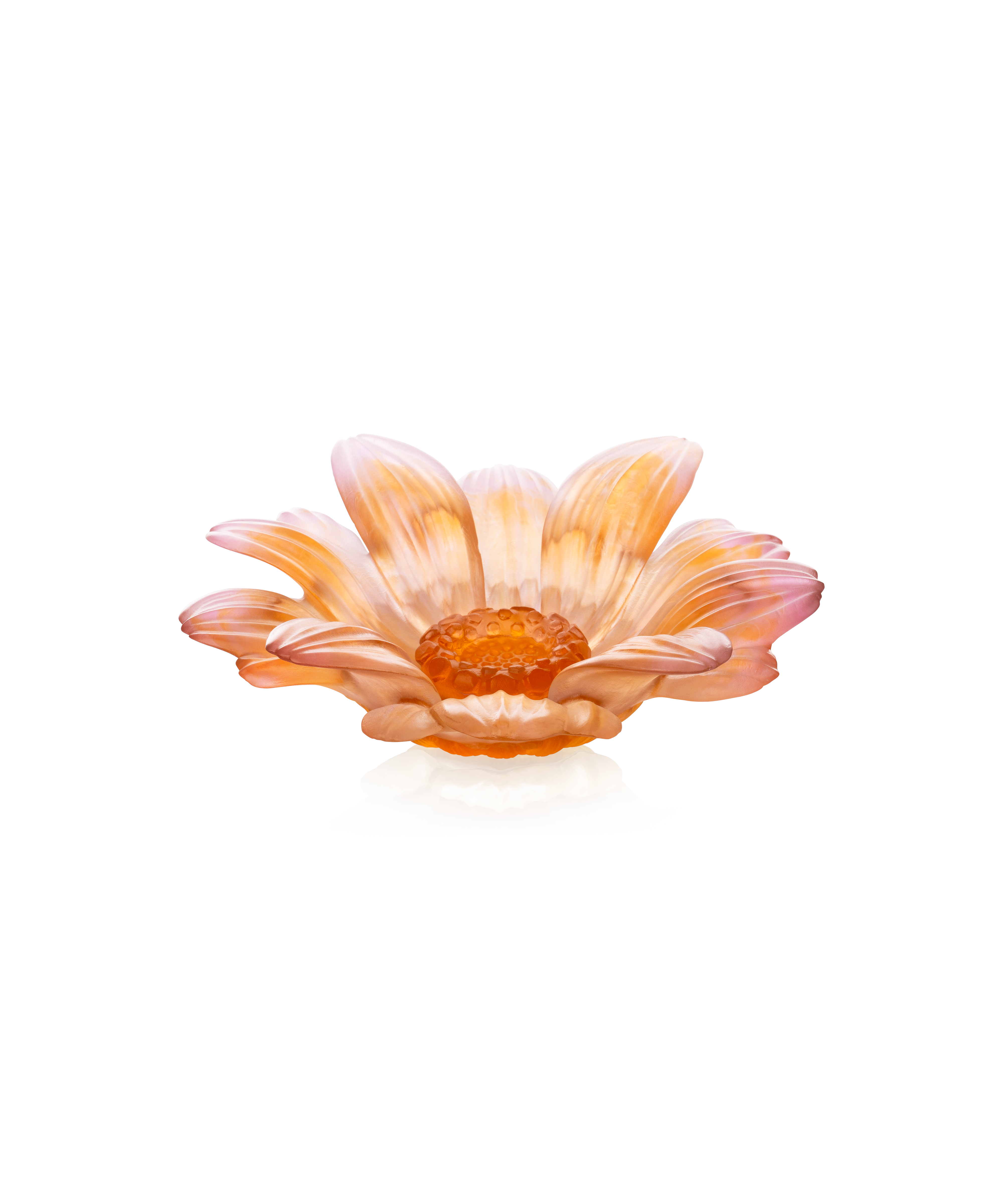daum-or-d-abeille-fleur-pr-sentation-petit-mod-le image 1