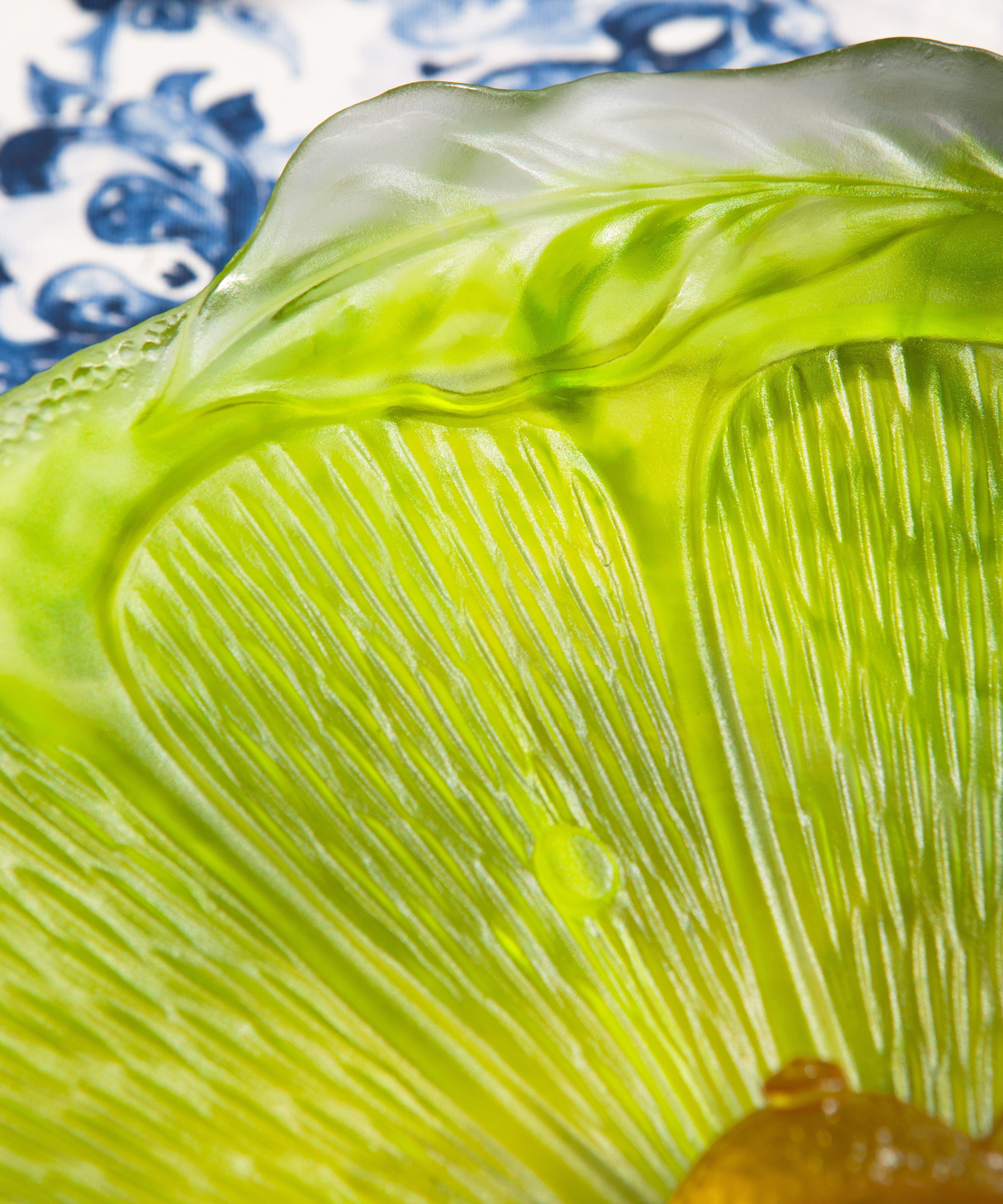 daum-univers-v-g-tal-citrus-coupe-sur-pied-225-ex image 5
