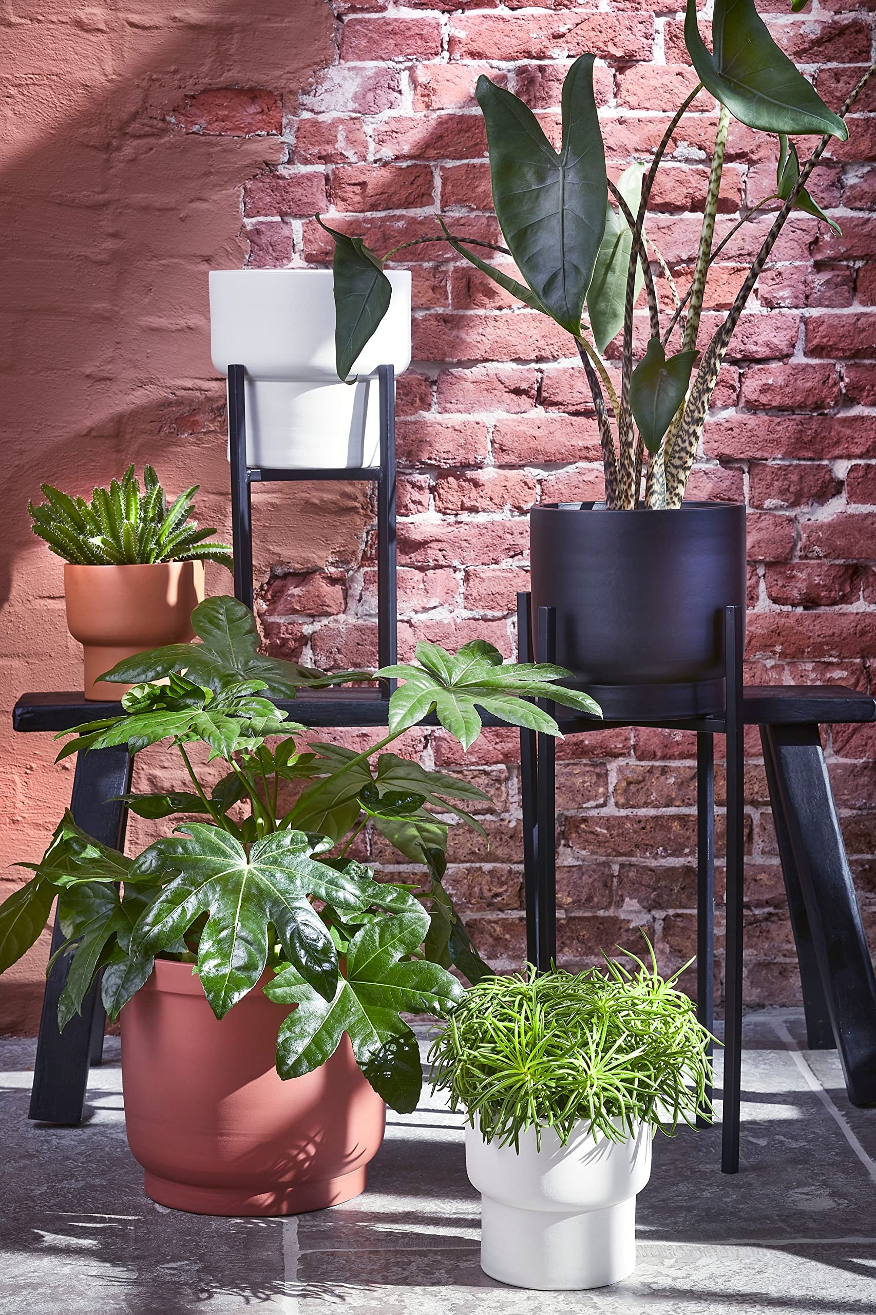 mica-ascot-xl-support-plante-noir-34-x-34-x-49-5-cm image 8