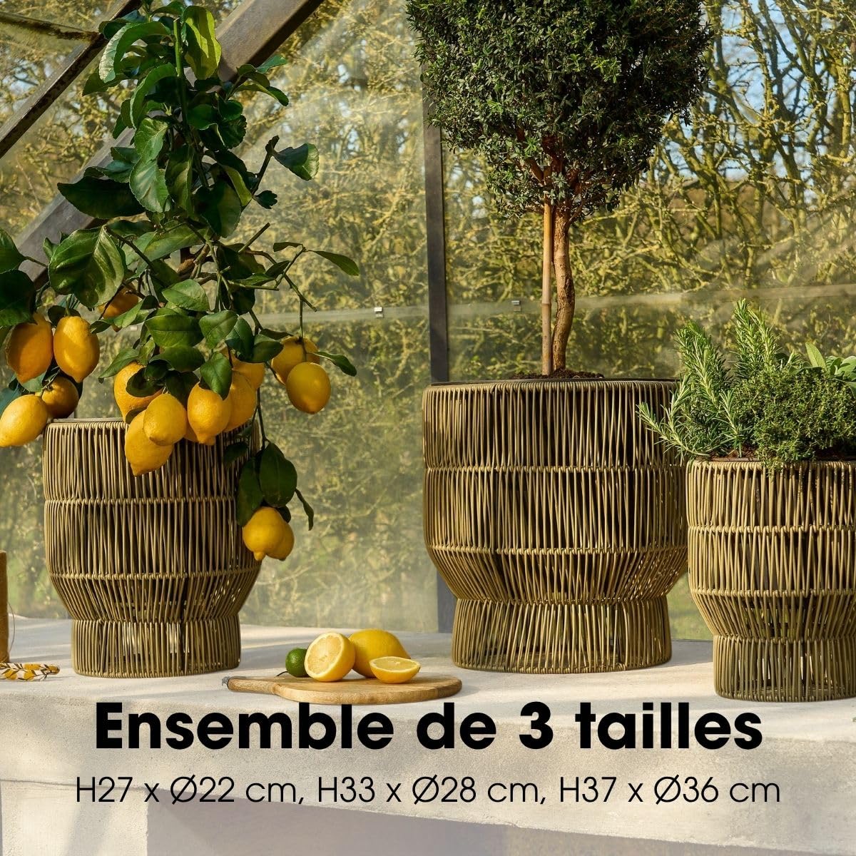 mica-decorations-peta-pot-plante-lot-3-vert-ext-rieur image 4