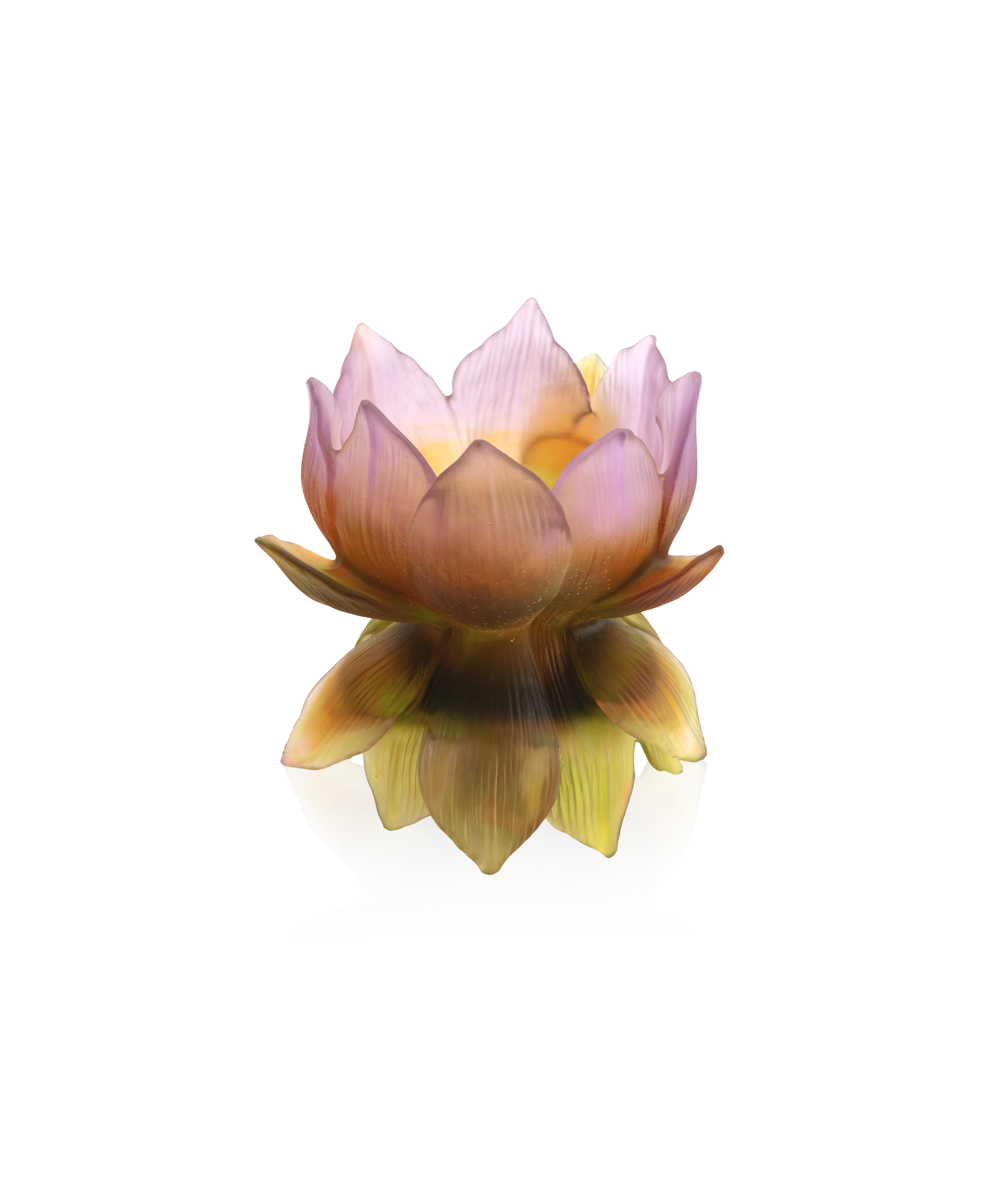 daum-univers-v-g-tal-jardin-de-lotus-vase-moyen-175-ex image 1