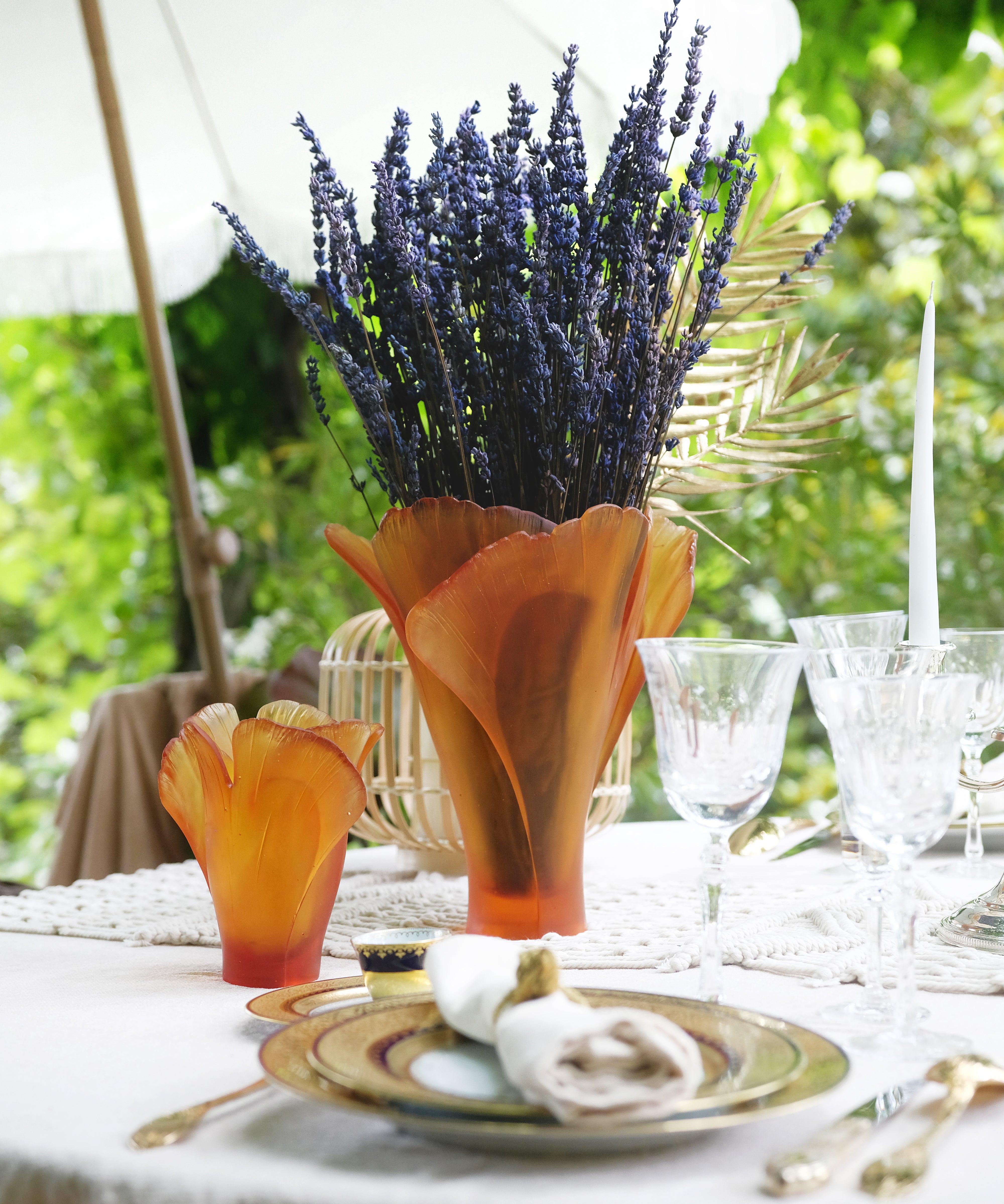 daum-univers-v-g-tal-ginkgo-vase-ambre-grand-mod-le image 5