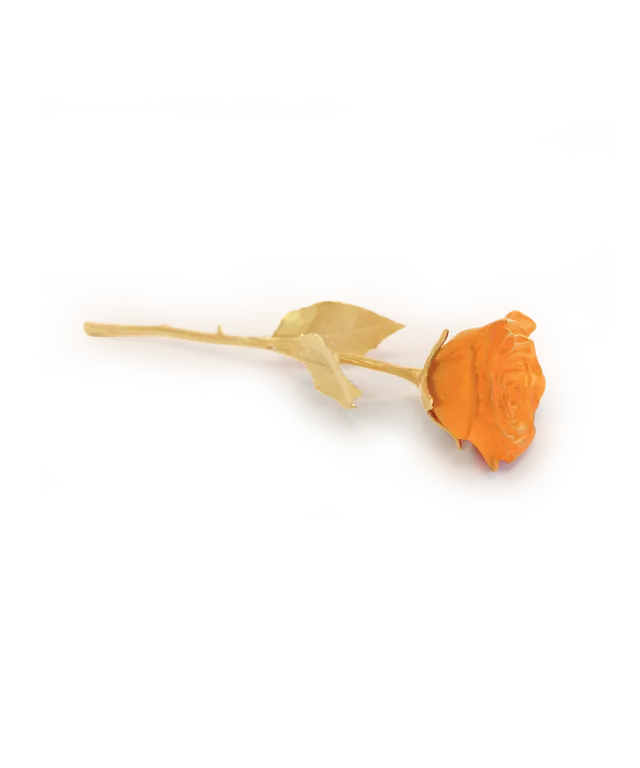 daum-univers-v-g-tal-rose-eternelle-orange-cristal image 1