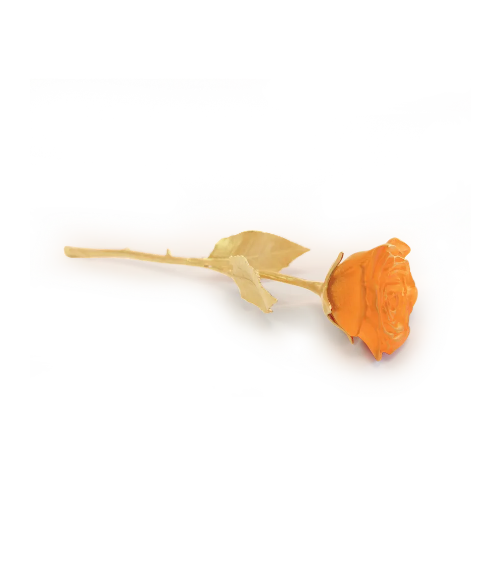 daum-univers-v-g-tal-rose-eternelle-orange-cristal image 1
