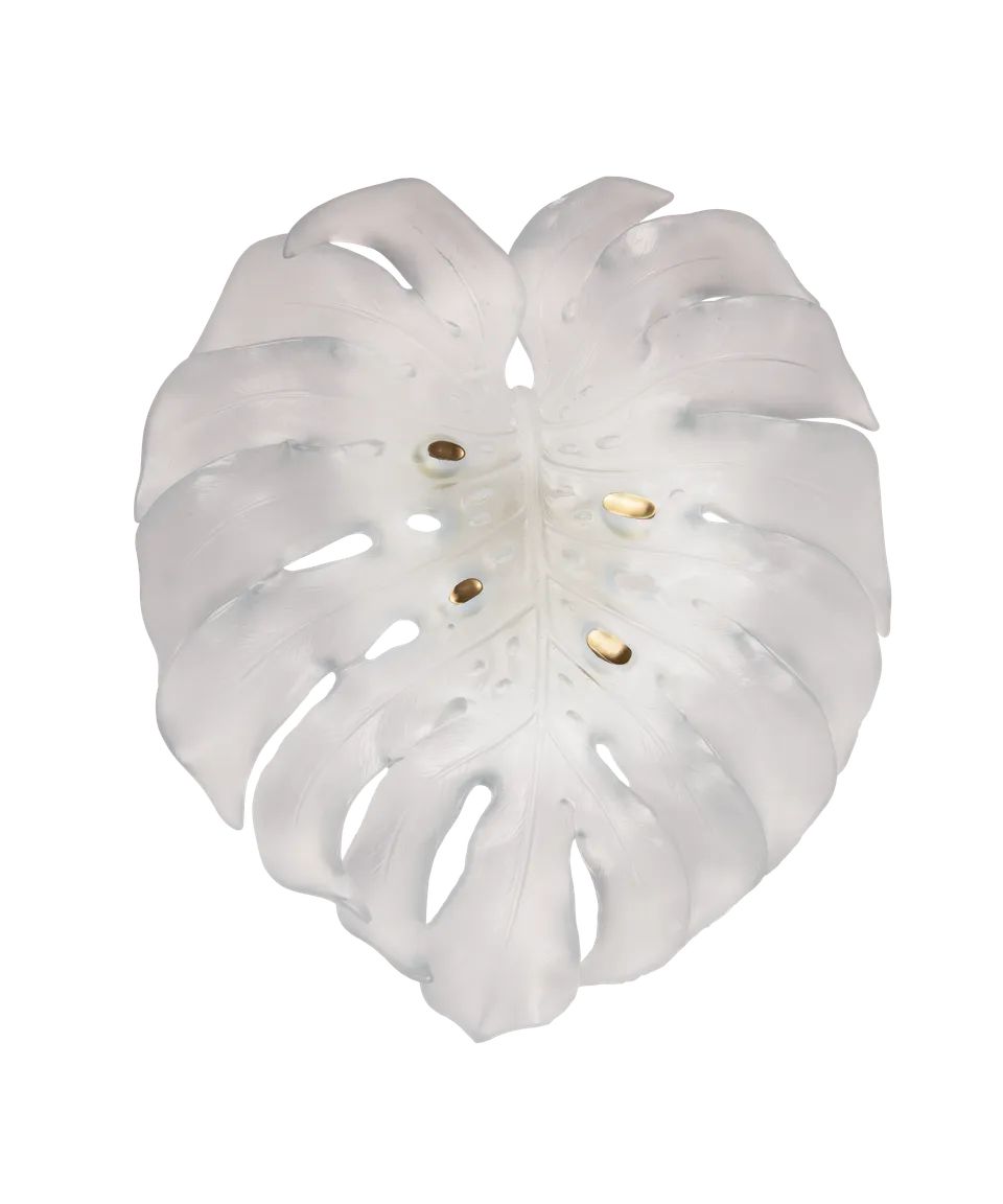 daum-univers-v-g-tal-monstera-applique-grand-mod-le-blanche-robba image 1
