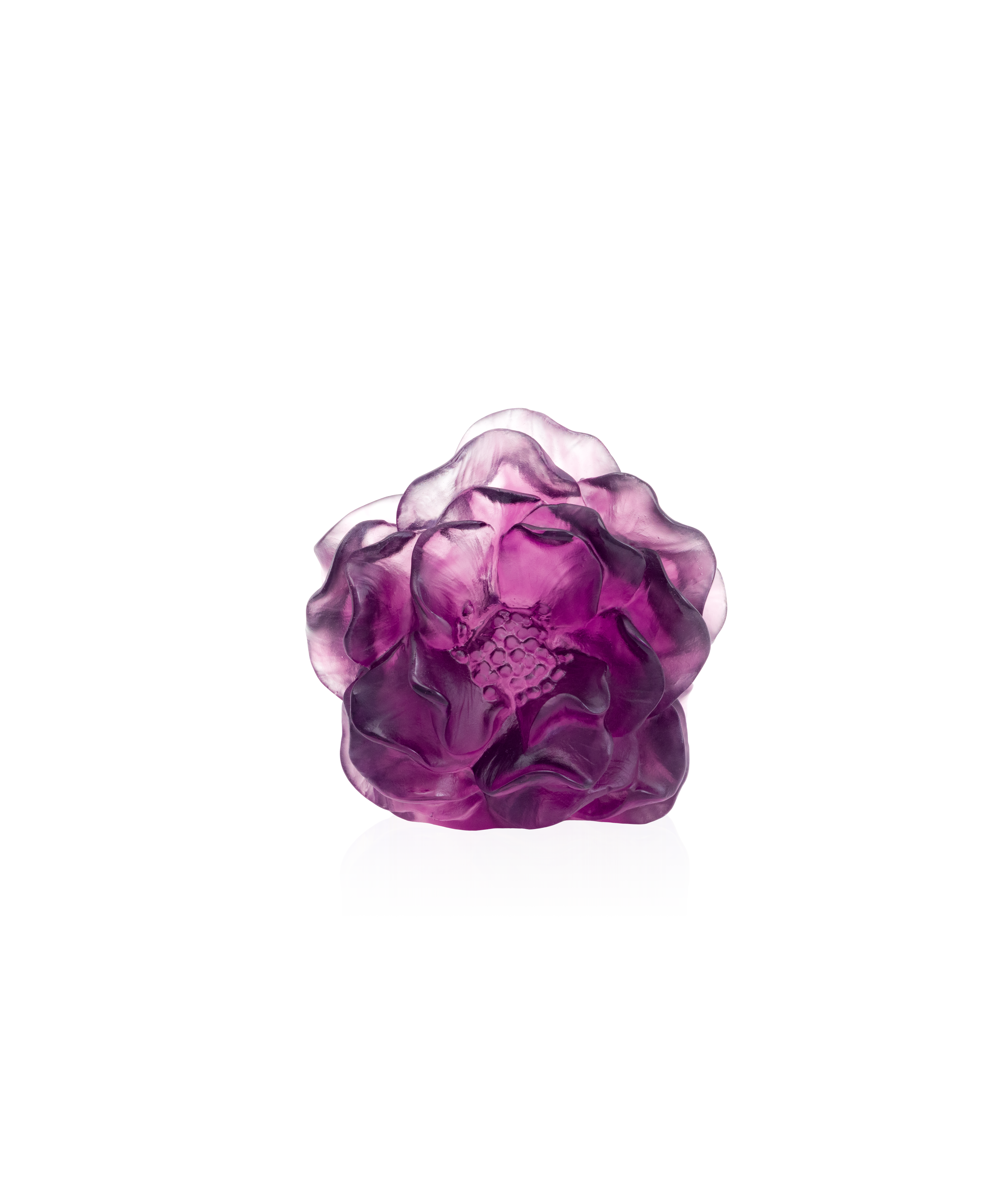 daum-univers-v-g-tal-camelia-fleur-d-corative-violette image 1