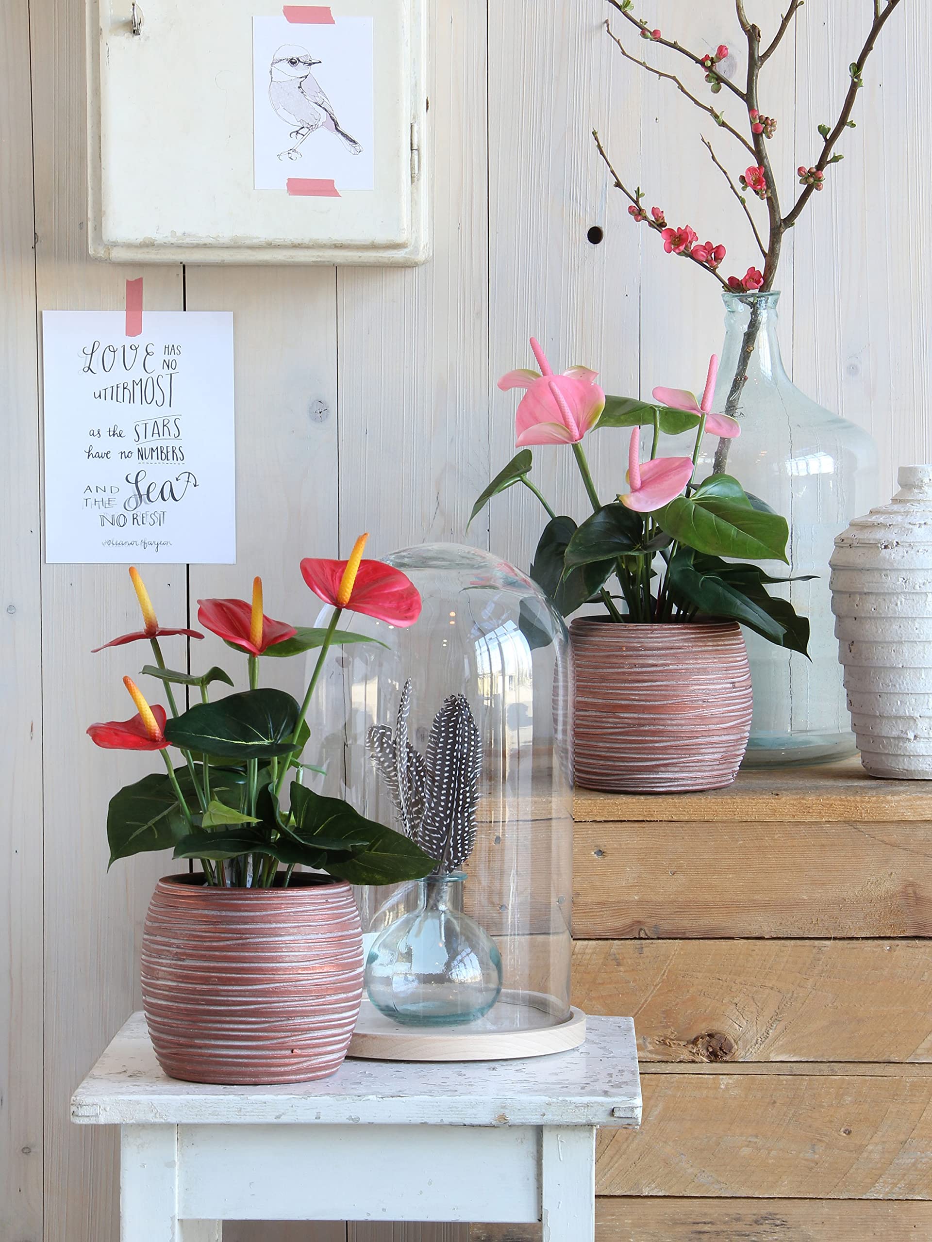 mica-decorations-artificial-plants-anthurium-rouge-artificiel image 7