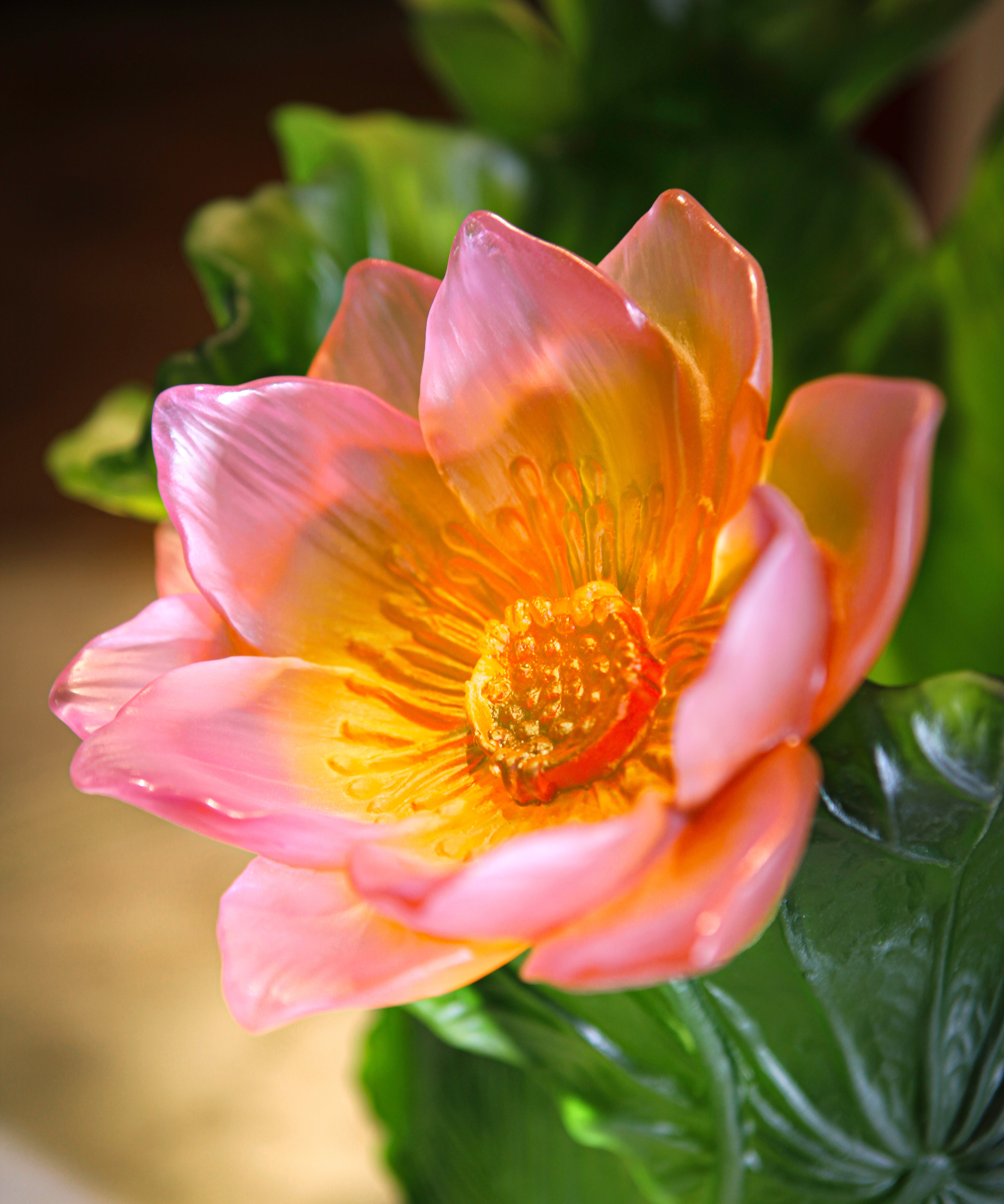 daum-univers-v-g-tal-jardin-de-lotus-vase-magnum-99-ex image 4