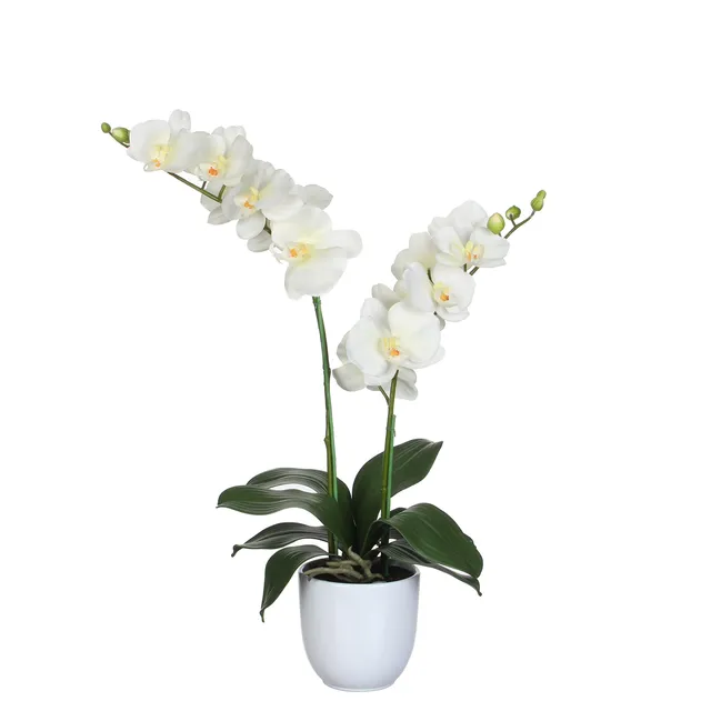 mica-decorations-phalaenopsis-orchid-e-artificielle-cr-me-66-cm image 1