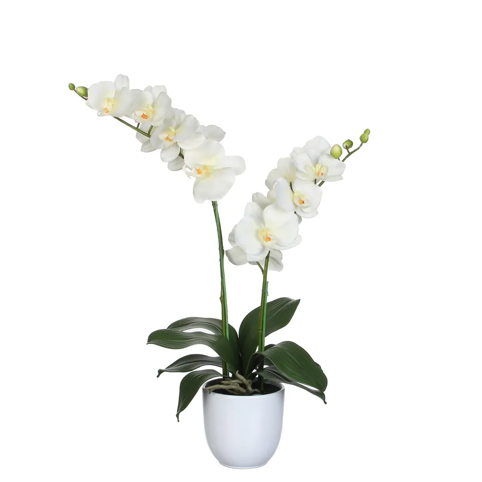 mica-decorations-phalaenopsis-orchid-e-artificielle-cr-me-66-cm image 1