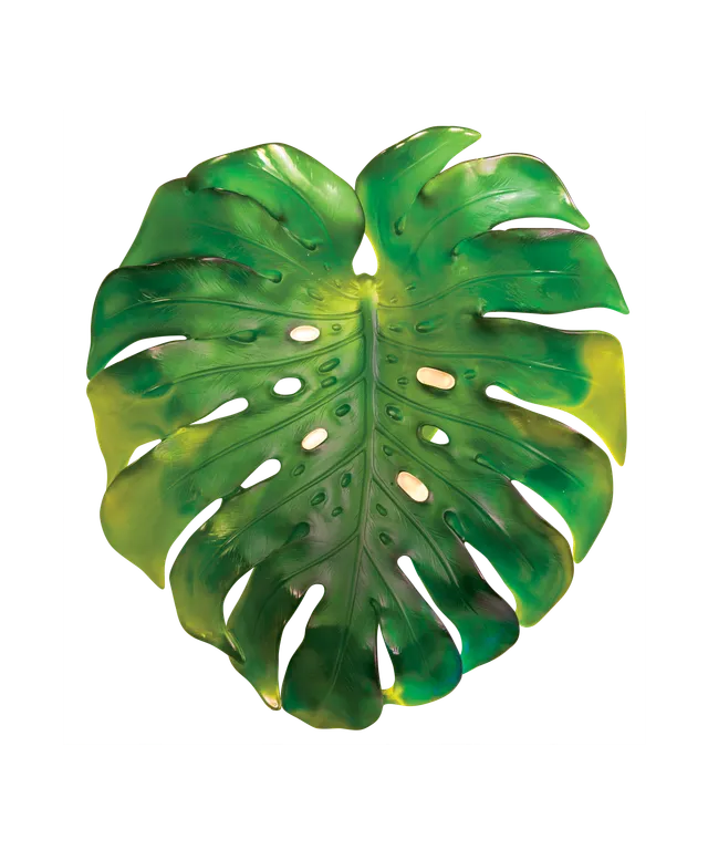 daum-univers-v-g-tal-monstera-applique-grand-mod-le-verte image 1