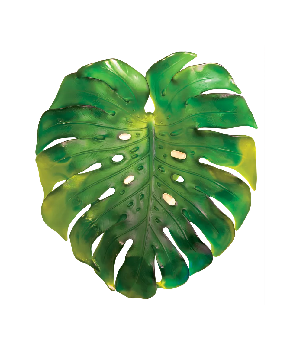 daum-univers-v-g-tal-monstera-applique-grand-mod-le-verte image 1