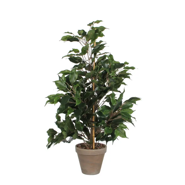 mica-decorations-artificial-plants-ficus-vert-65-cm image 1
