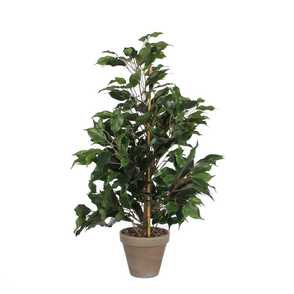 mica-decorations-artificial-plants-ficus-vert-65-cm image 1