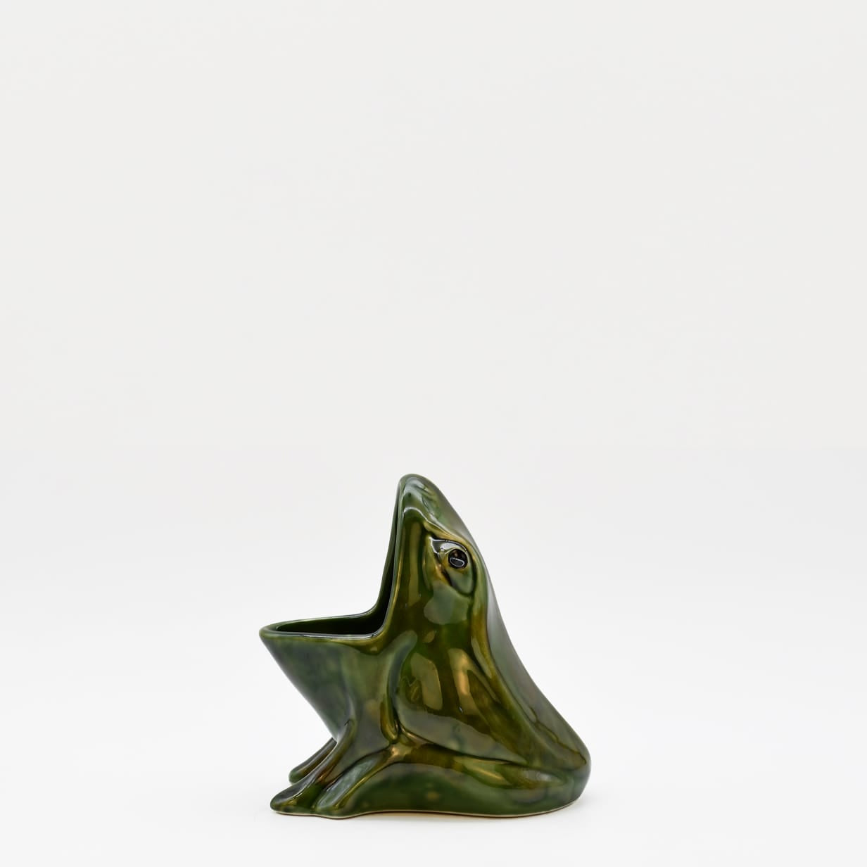 luisa-paix-o-pot-ponge-c-ramique-grenouille-15cm-caldas image 1