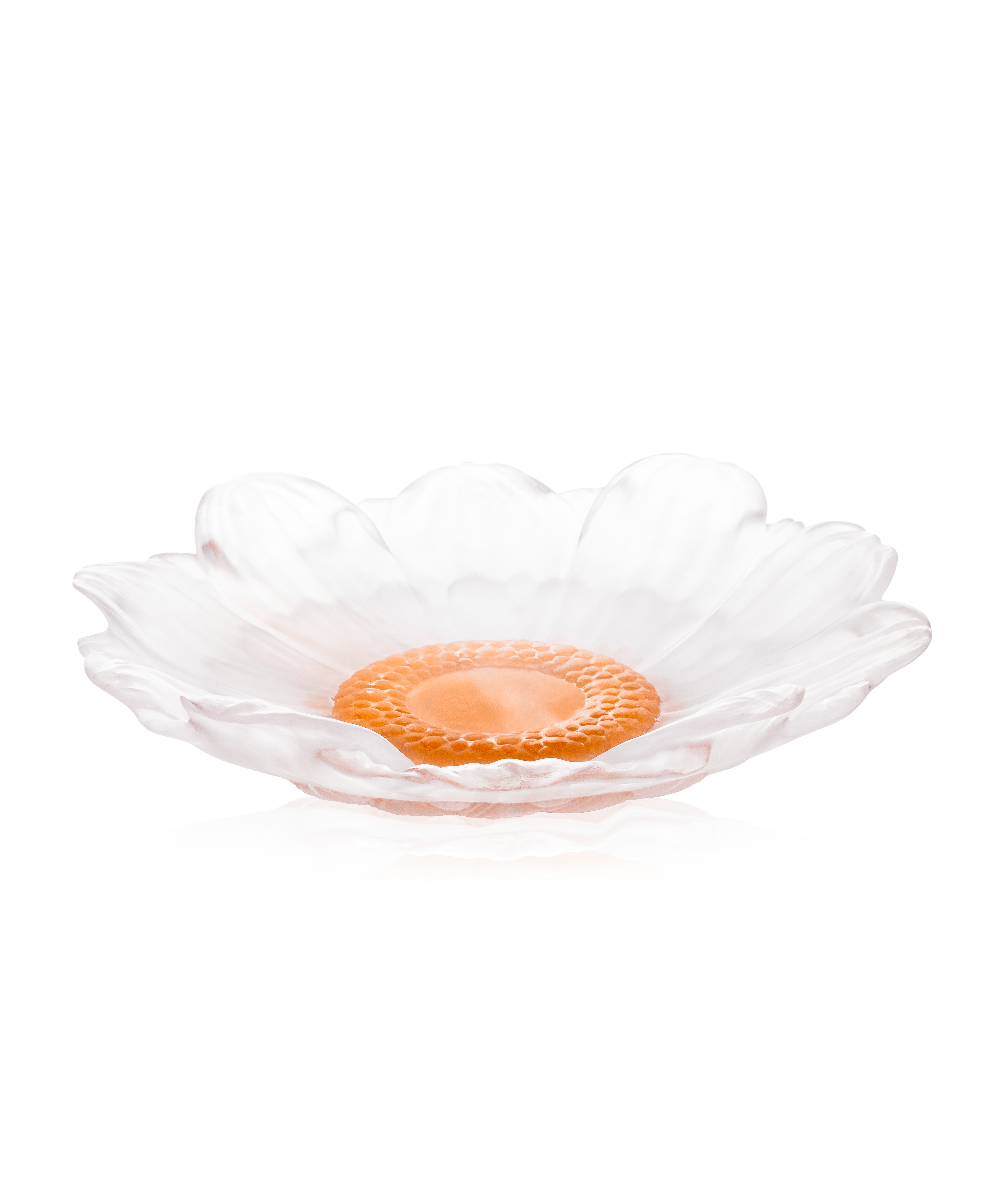 daum-or-d-abeille-fleur-pr-sentation-blanche-moyen-mod-le image 1