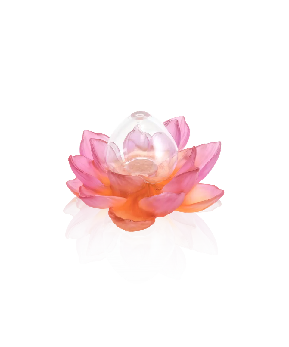 daum-univers-v-g-tal-jardin-de-lotus-soliflore-ambre-rose image 1
