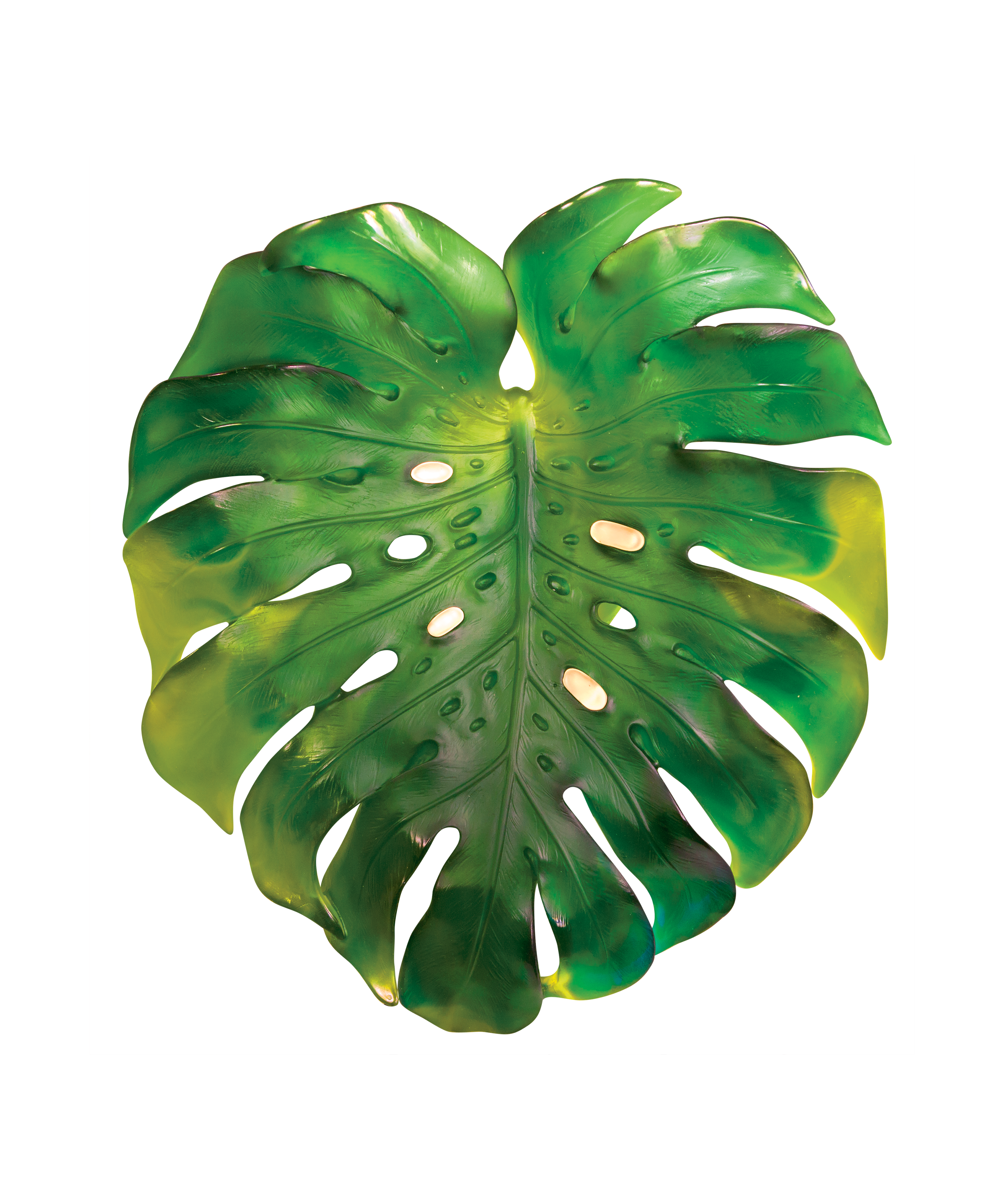 daum-univers-v-g-tal-monstera-applique-grand-mod-le-verte image 1