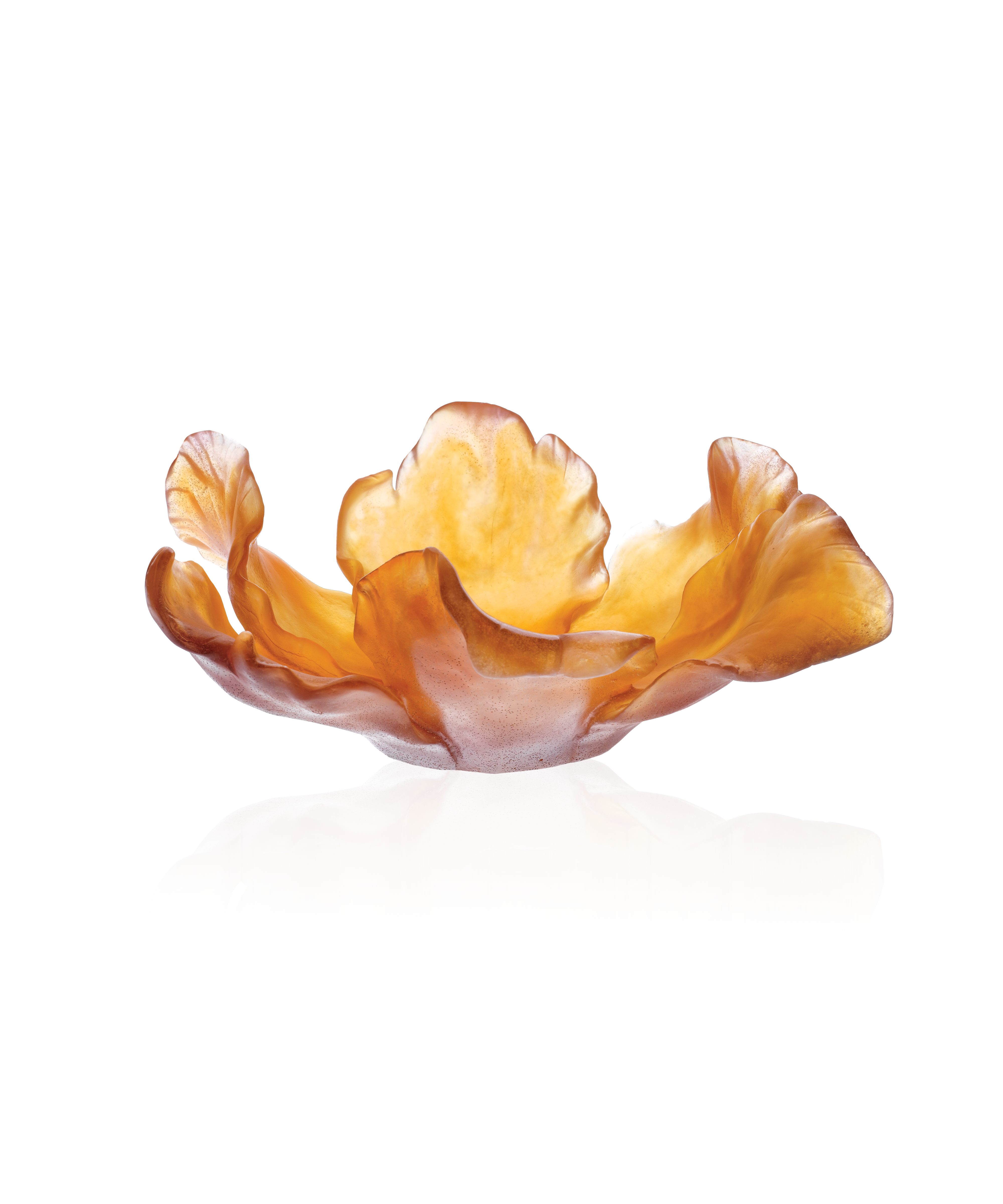 daum-tulipe-coupe-ambre-p-te-de-cristal image 1