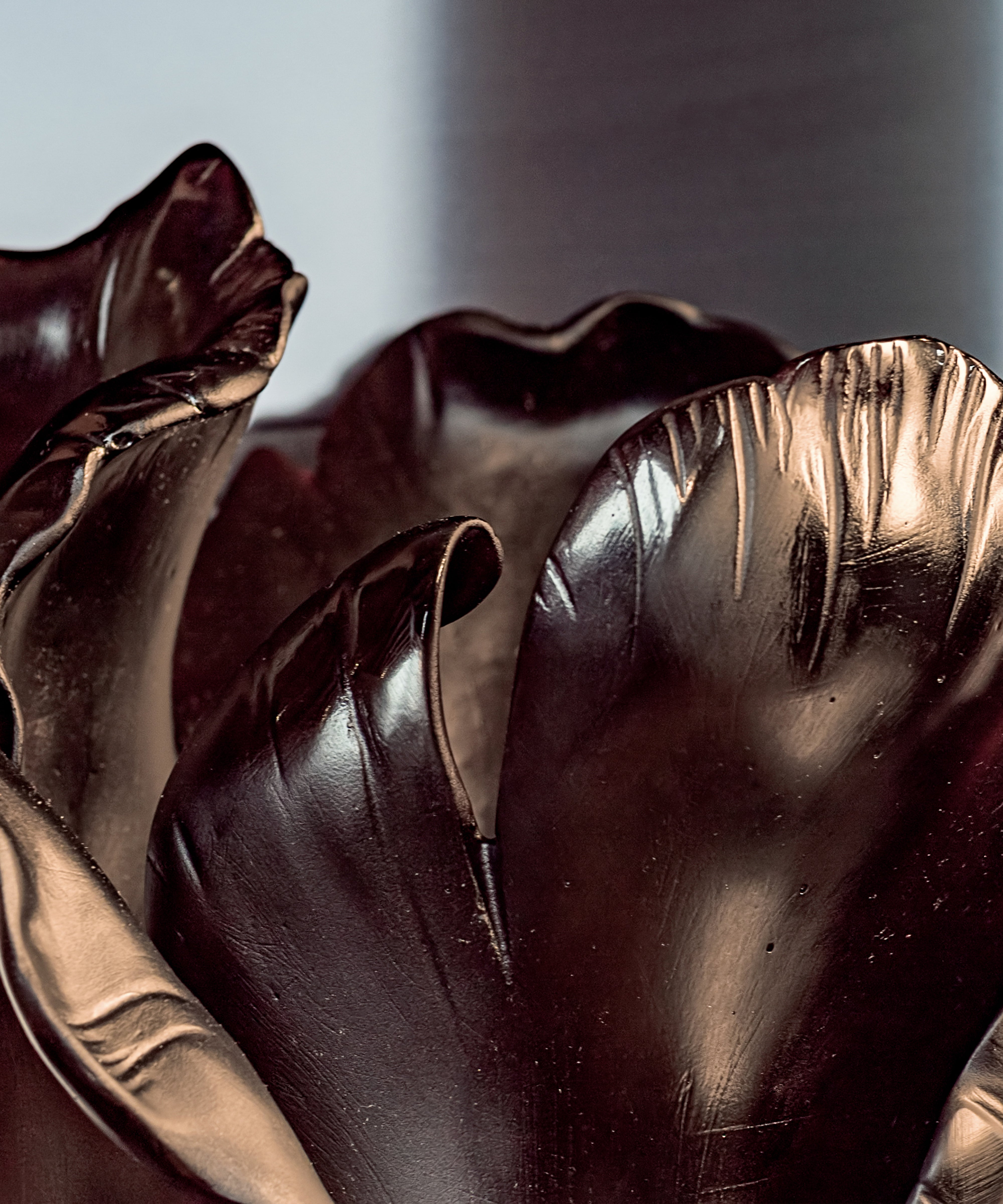 daum-univers-v-g-tal-tulipe-vase-grand-mod-le-noir-cristal image 3