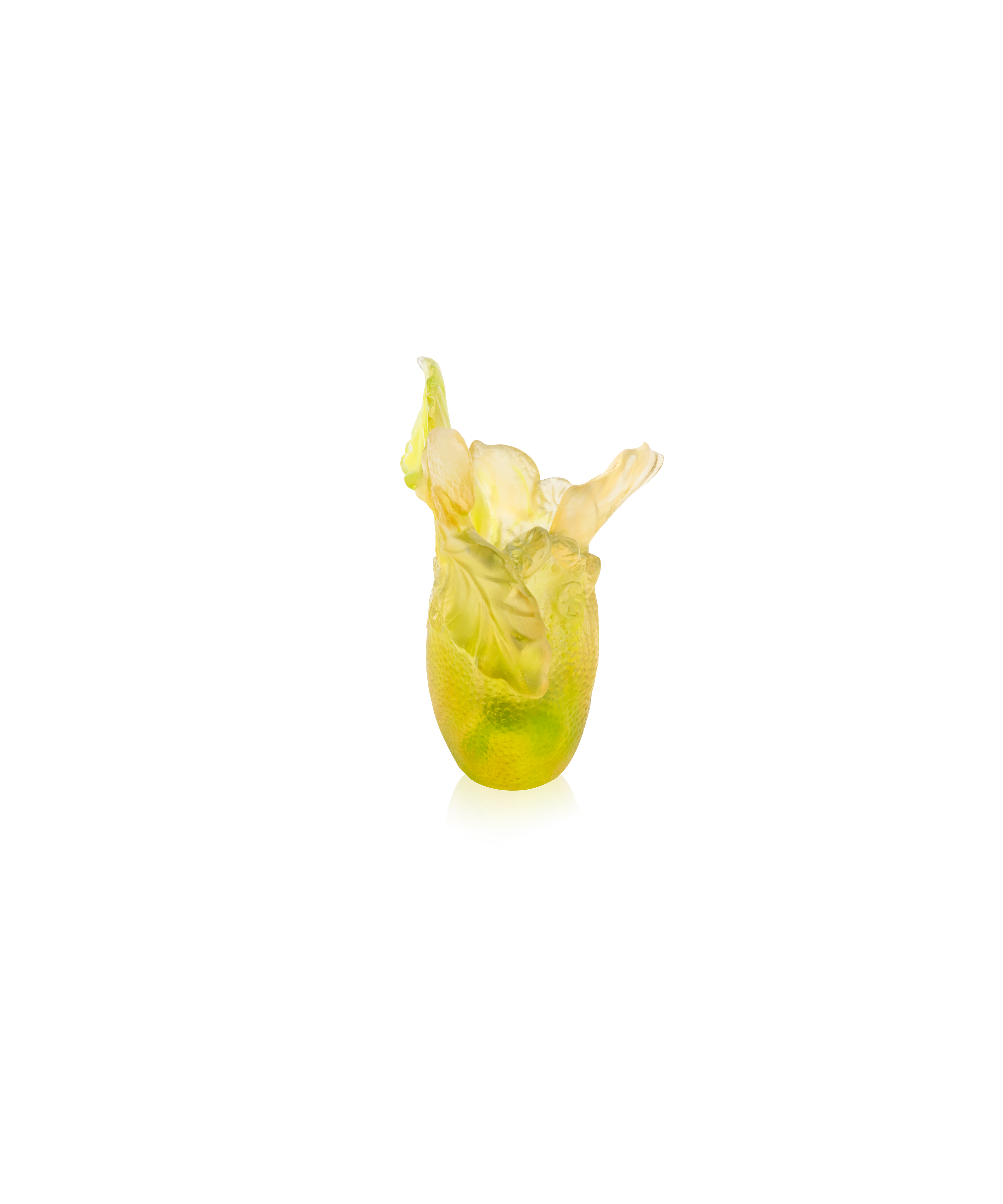 daum-univers-v-g-tal-citrus-vase-petit-mod-le-cristal image 1