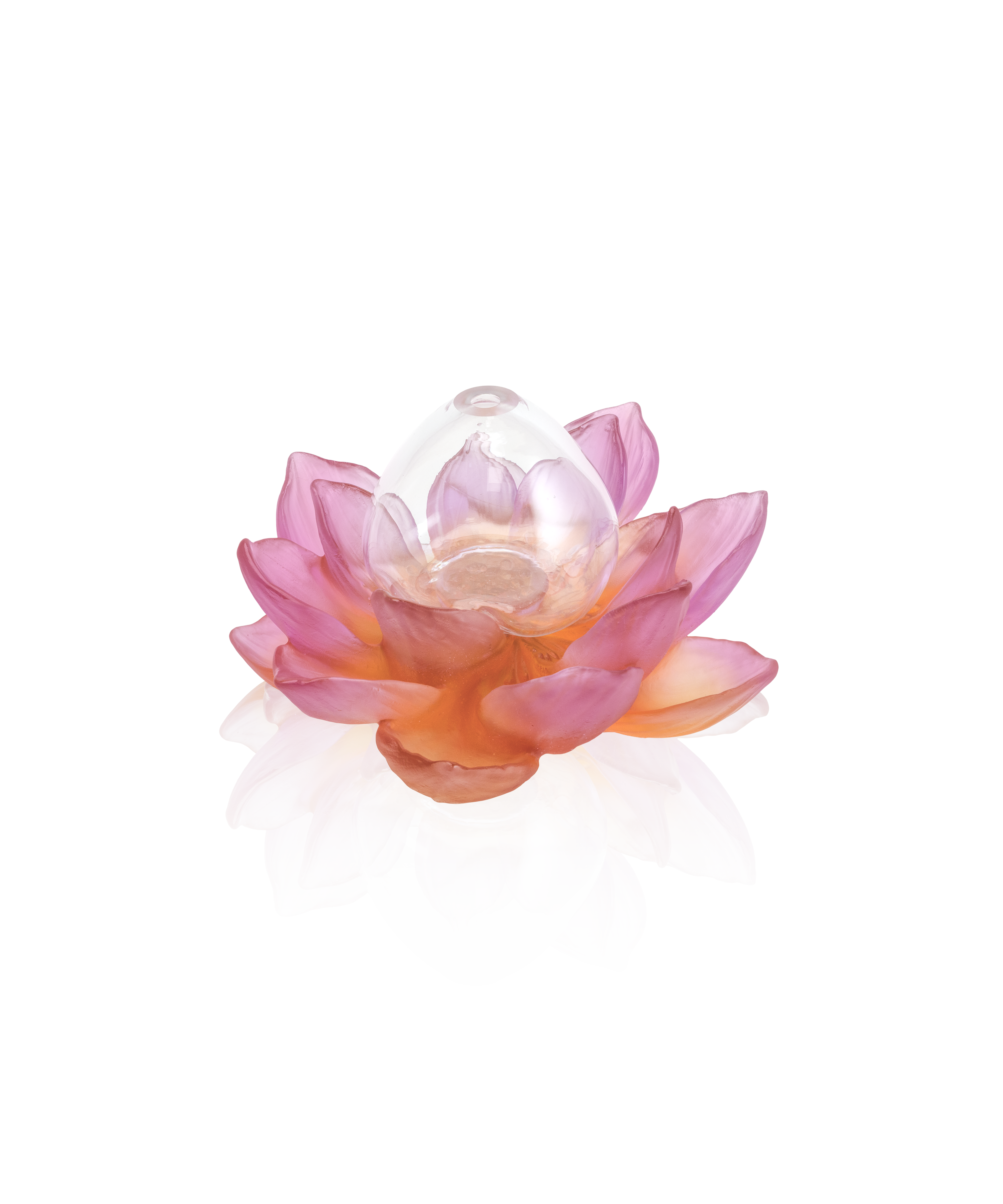 daum-univers-v-g-tal-jardin-de-lotus-soliflore-ambre-rose image 1