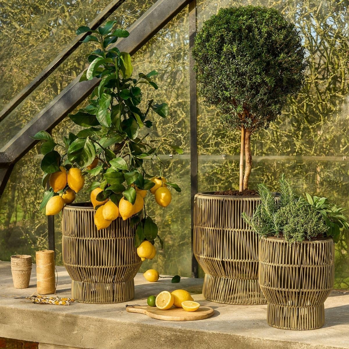 mica-decorations-peta-pot-plante-lot-3-vert-ext-rieur image 8