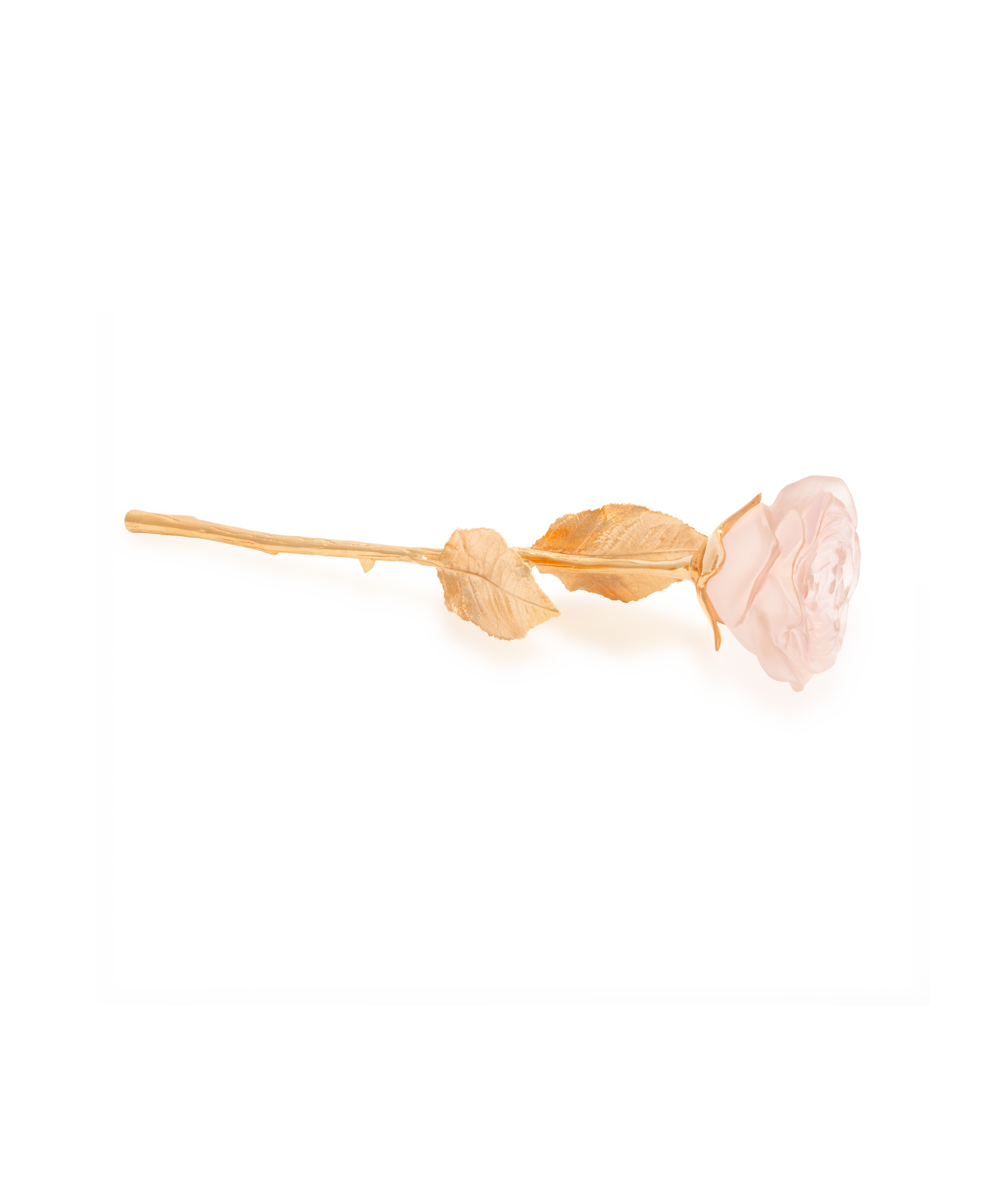 daum-univers-v-g-tal-rose-eternelle-sculpture-rose-poudr image 1