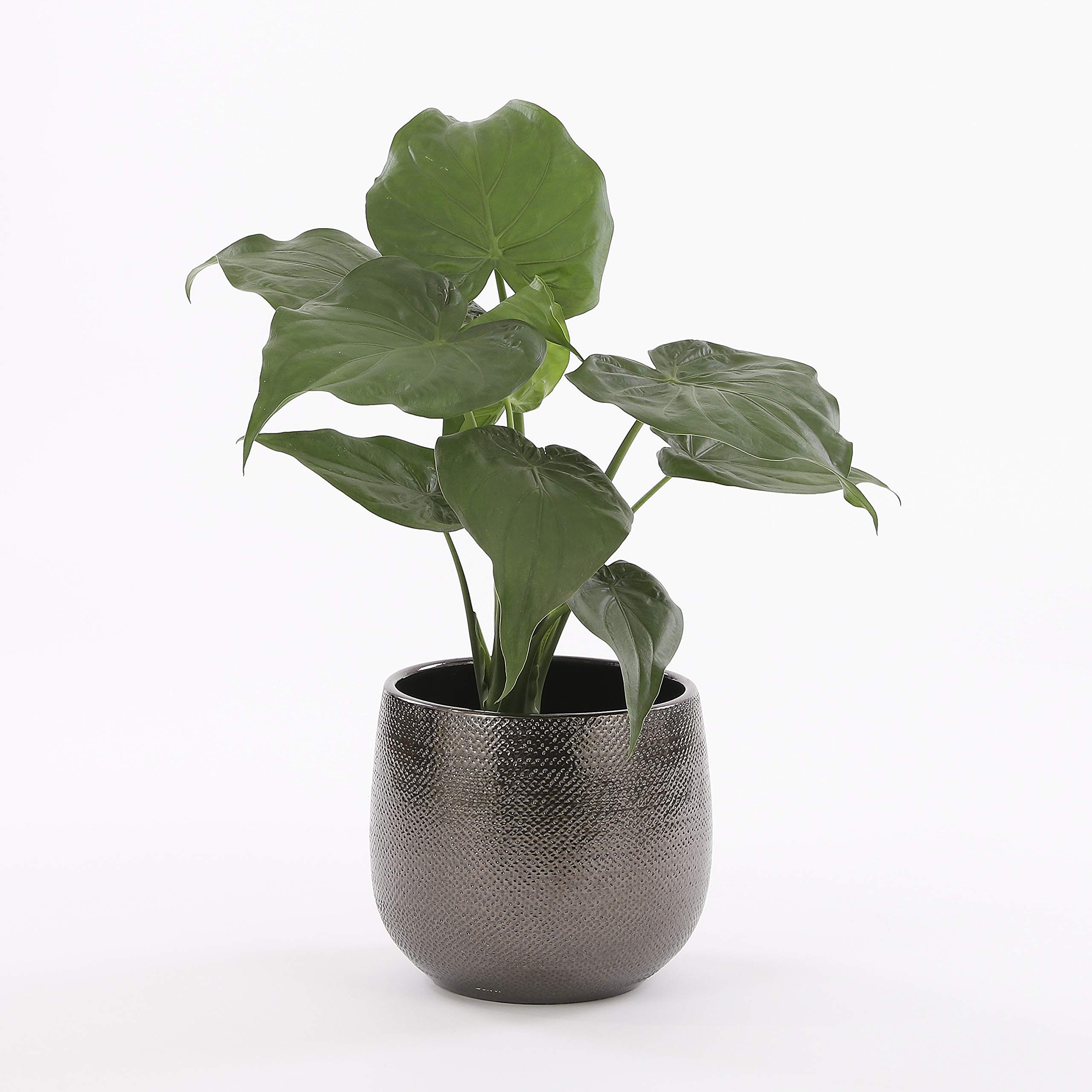 mica-decorations-gabriel-pot-fleurs-c-ramique-bronze-25x29cm image 2