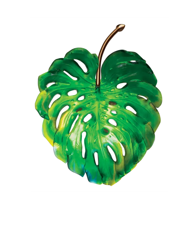 daum-univers-v-g-tal-monstera-applique-verte-petit-mod-le image 1