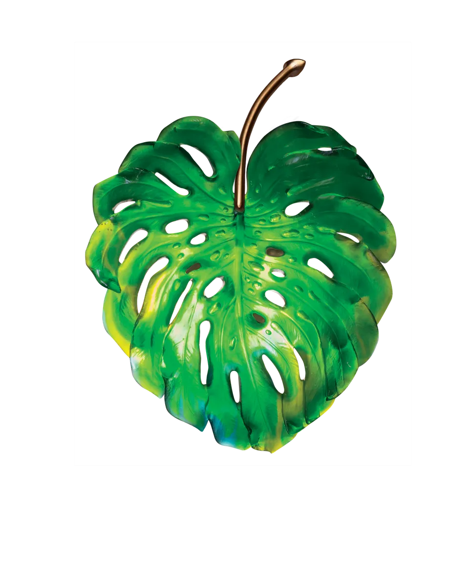 daum-univers-v-g-tal-monstera-applique-verte-petit-mod-le image 1