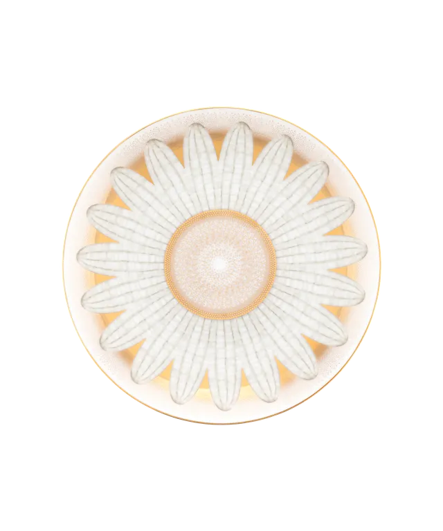 daum-or-d-abeille-coffret-2-assiettes-dessert image 1