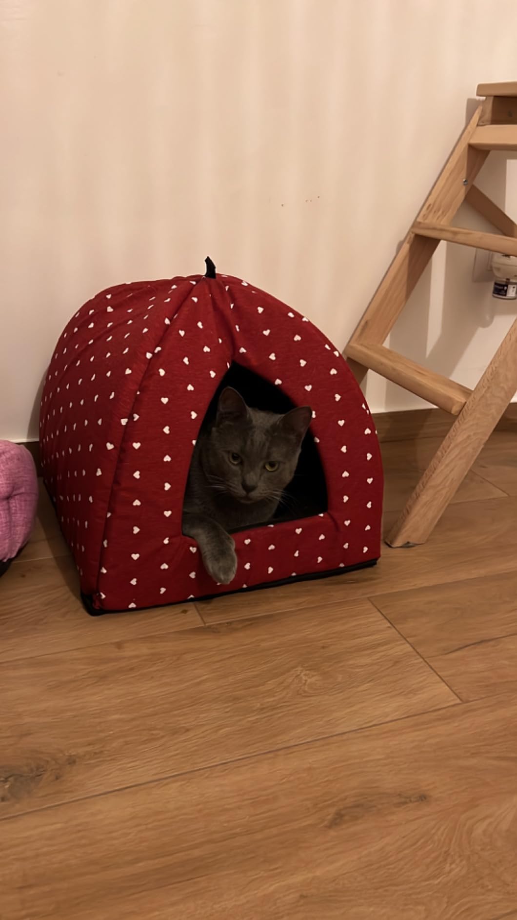 Adopté