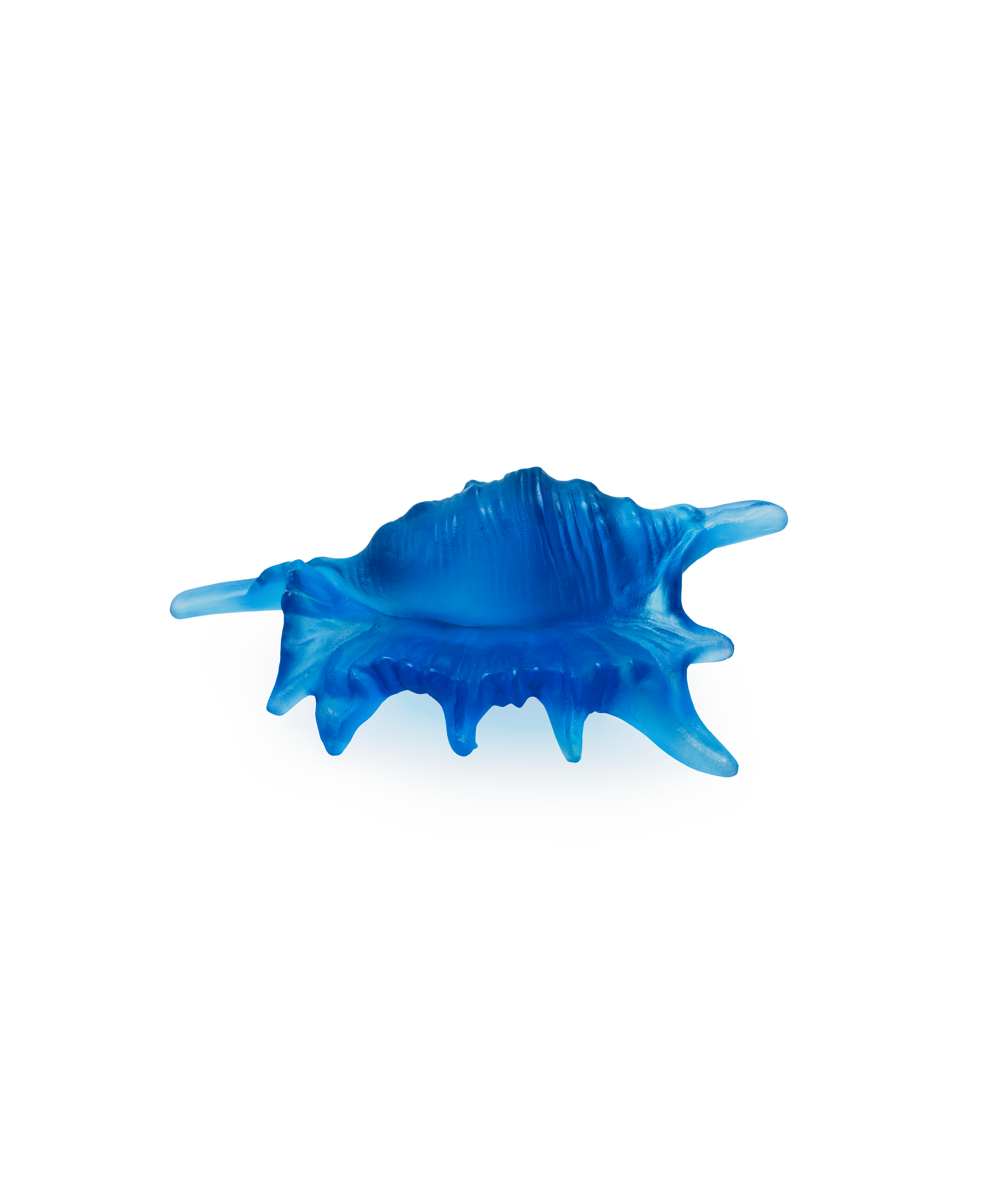 daum-mer-de-corail-coquillage-sculpture-petit-mod-le image 1
