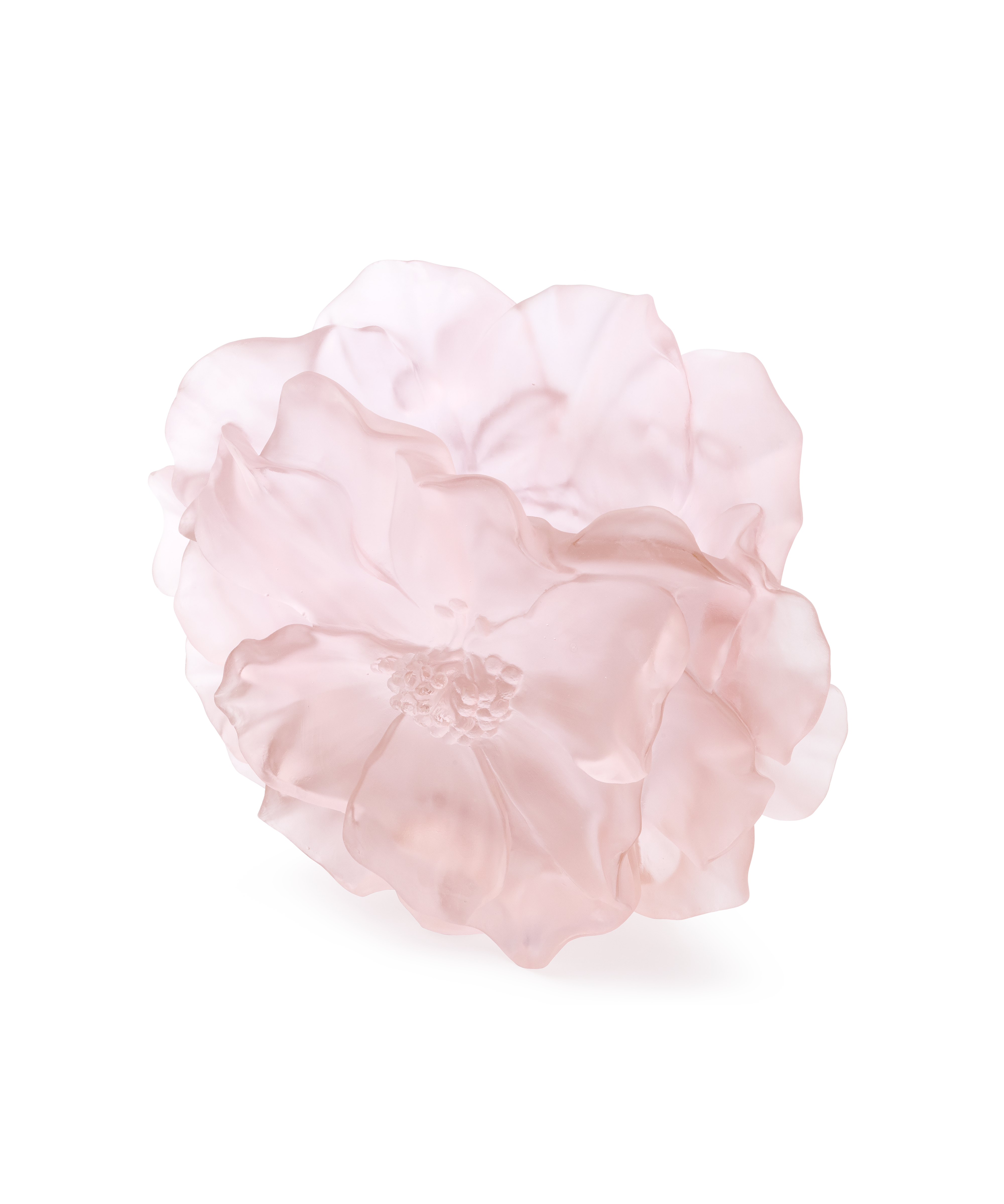 daum-univers-v-g-tal-camelia-vase-grand-mod-le-rose image 5