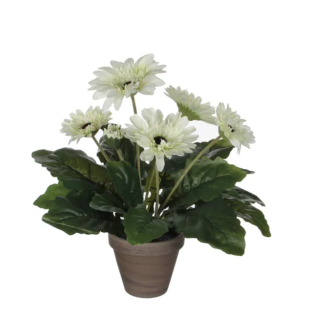 mica-decorations-orchid-e-artificielle-blanche-bouquet image 1
