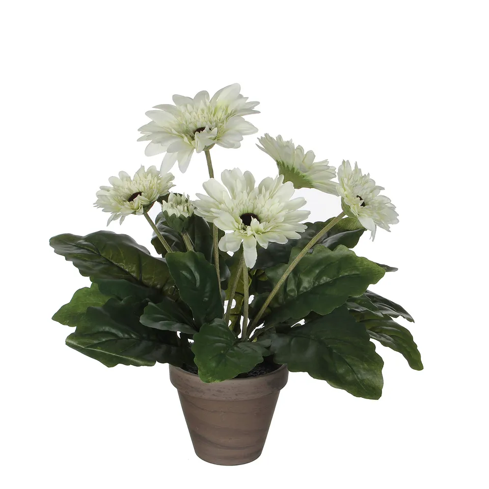 mica-decorations-orchid-e-artificielle-blanche-bouquet image 1