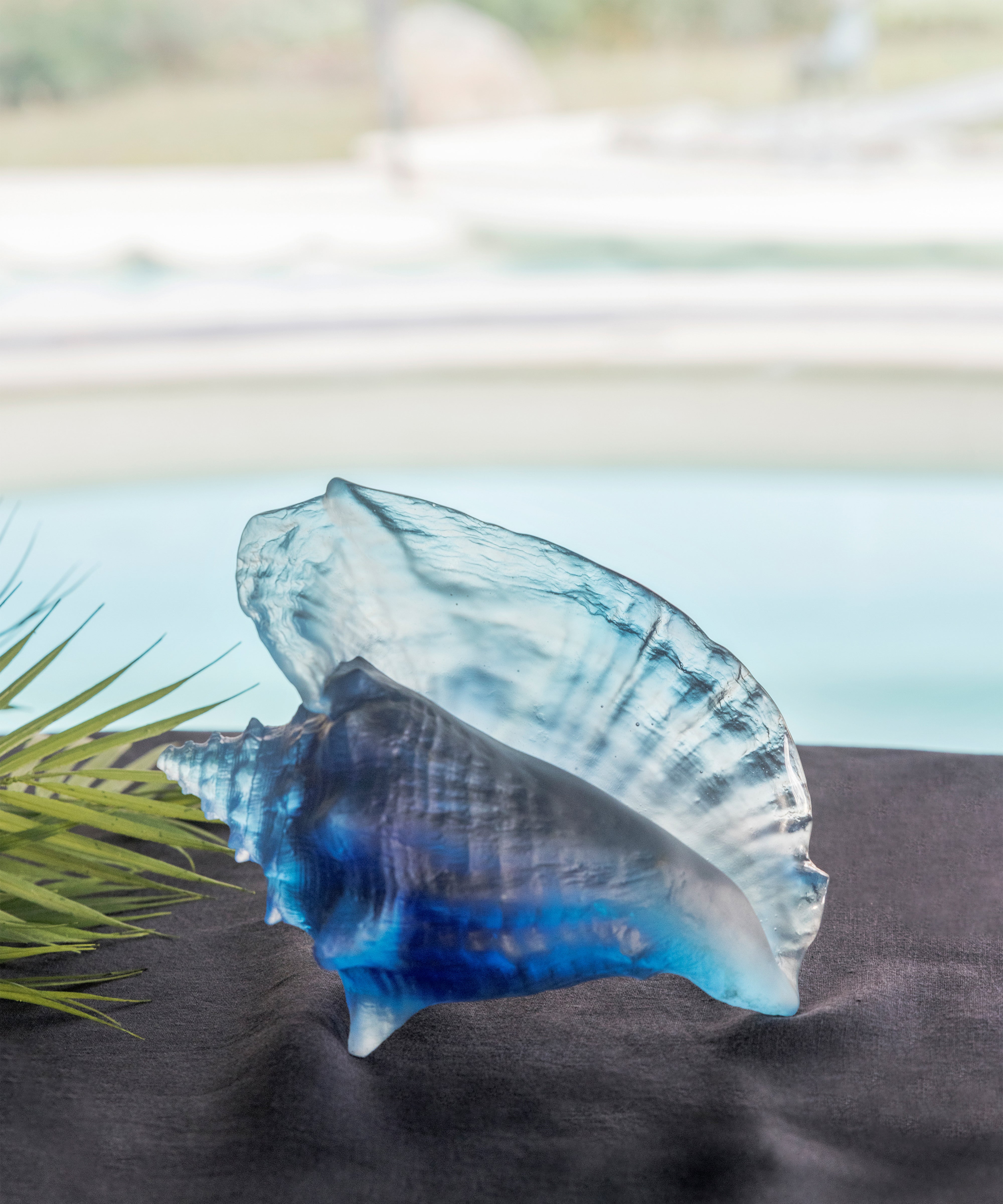 daum-univers-animalier-mer-de-corail-coquillage-conque-cristal image 5