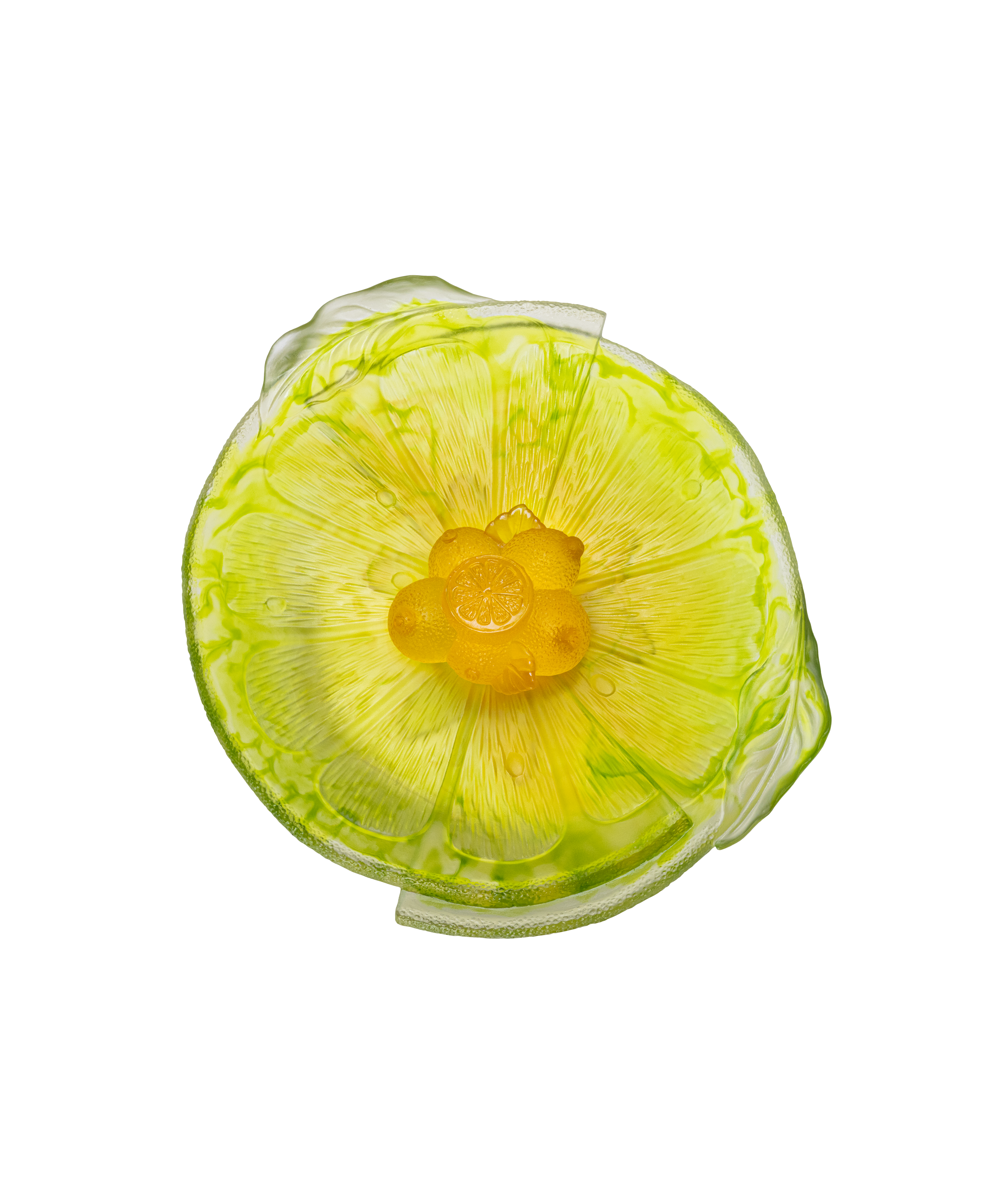 daum-univers-v-g-tal-citrus-coupe-sur-pied-225-ex image 3