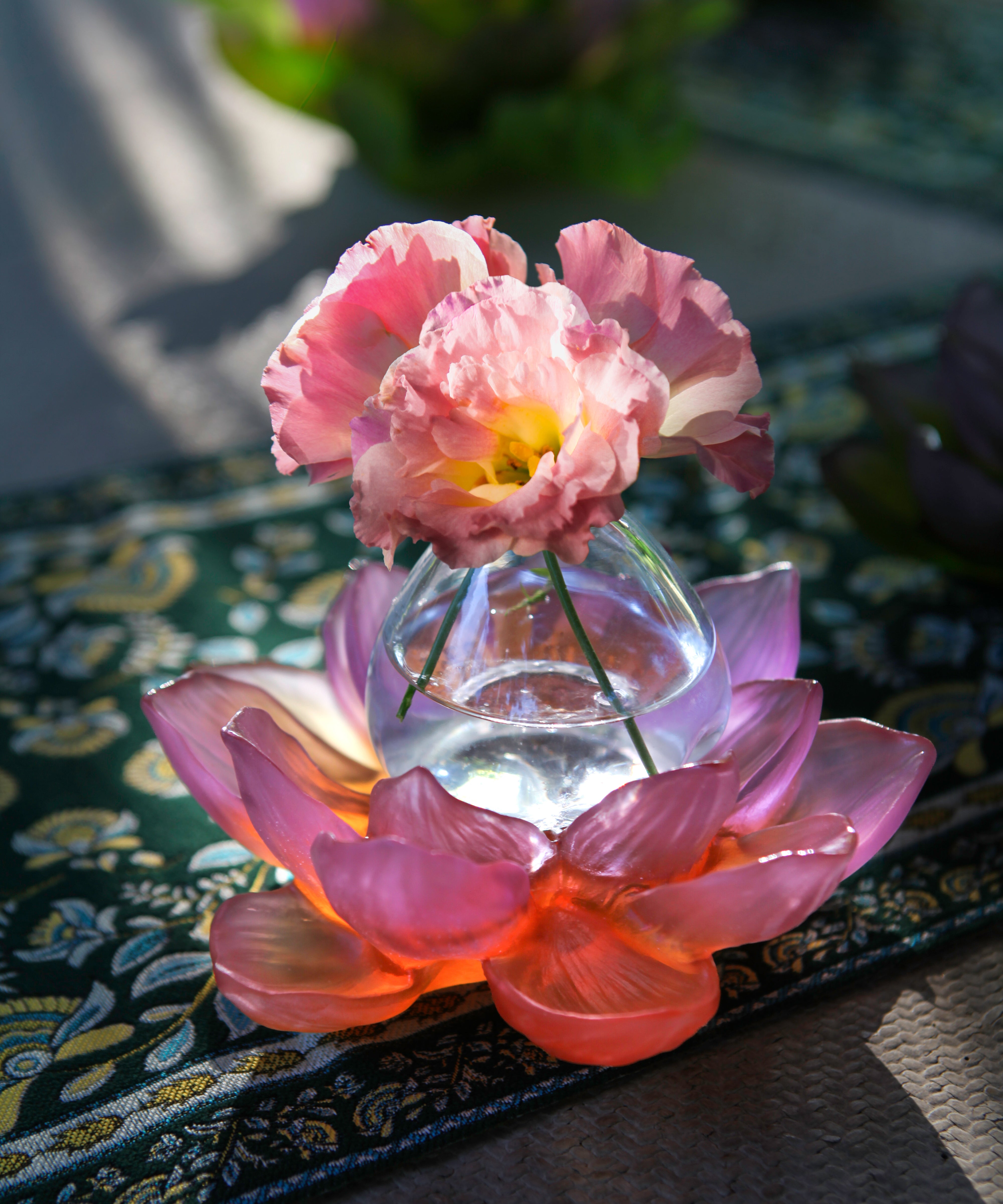daum-univers-v-g-tal-jardin-de-lotus-soliflore-ambre-rose image 2