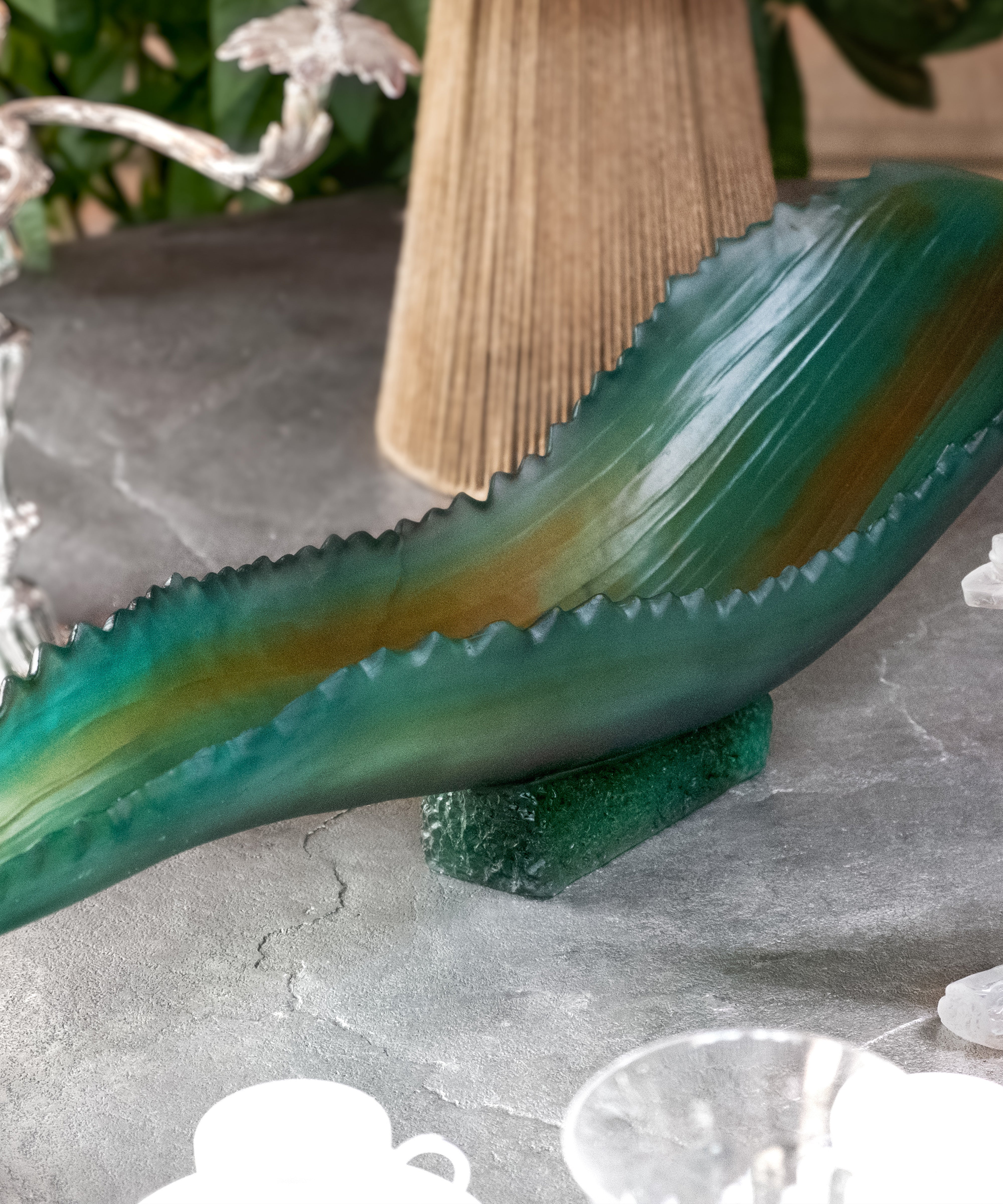 daum-univers-v-g-tal-jardin-de-cactus-coupe-verte-robba image 2