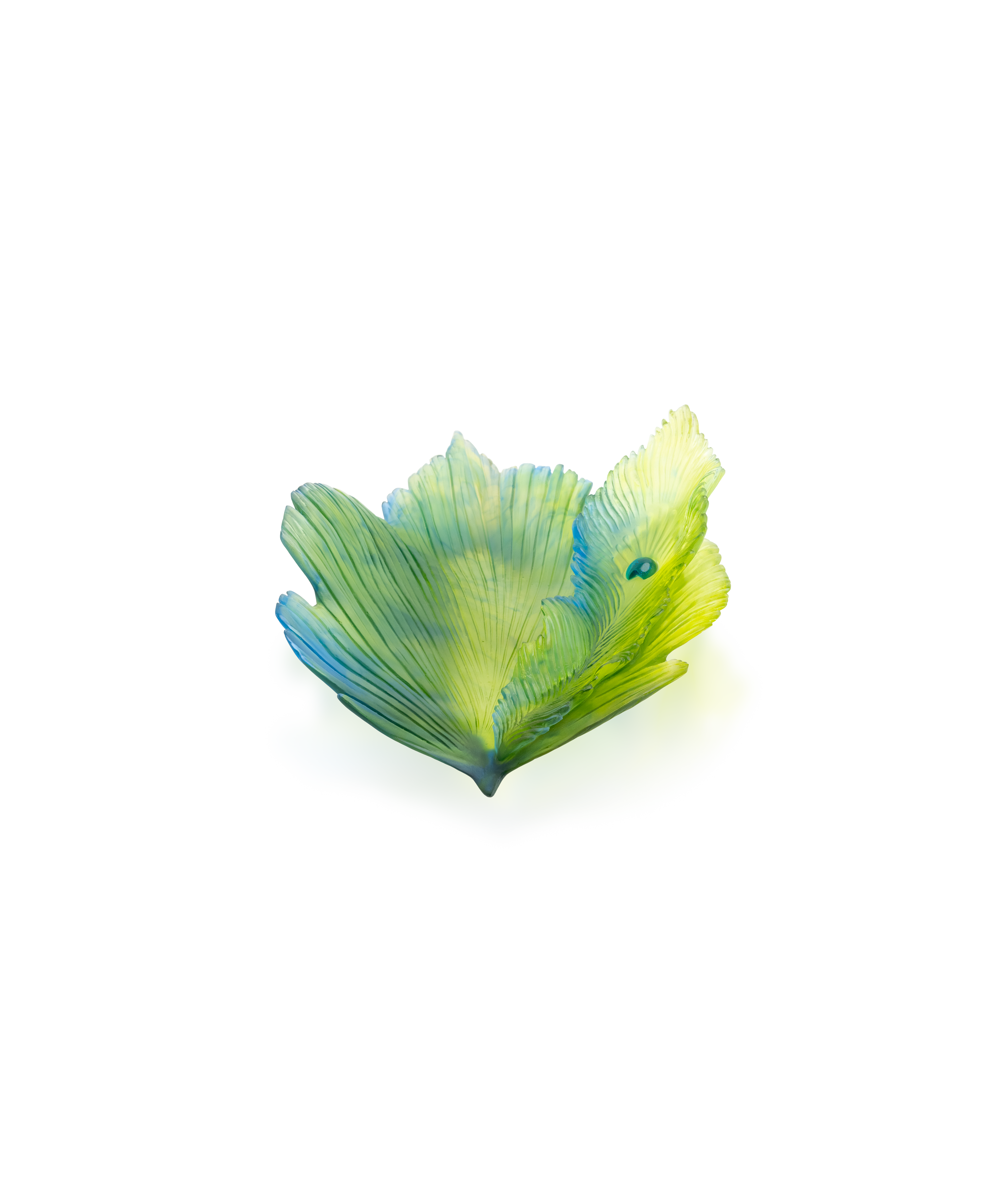 daum-univers-v-g-tal-fleur-de-paon-exotique-coupe-moyen-mod-le image 1
